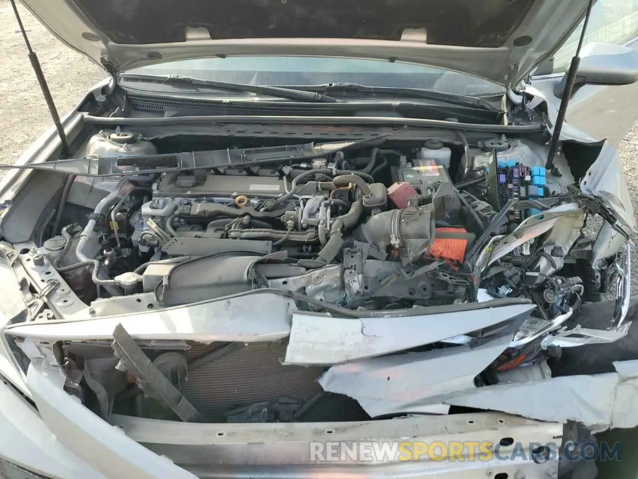 12 Photograph of a damaged car 4T1B11HK1KU704457 TOYOTA CAMRY 2019