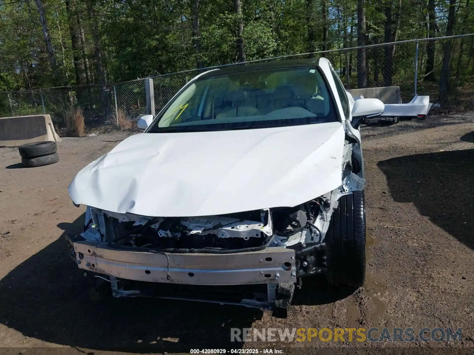 13 Фотография поврежденного автомобиля 4T1B11HK1KU782995 TOYOTA CAMRY 2019