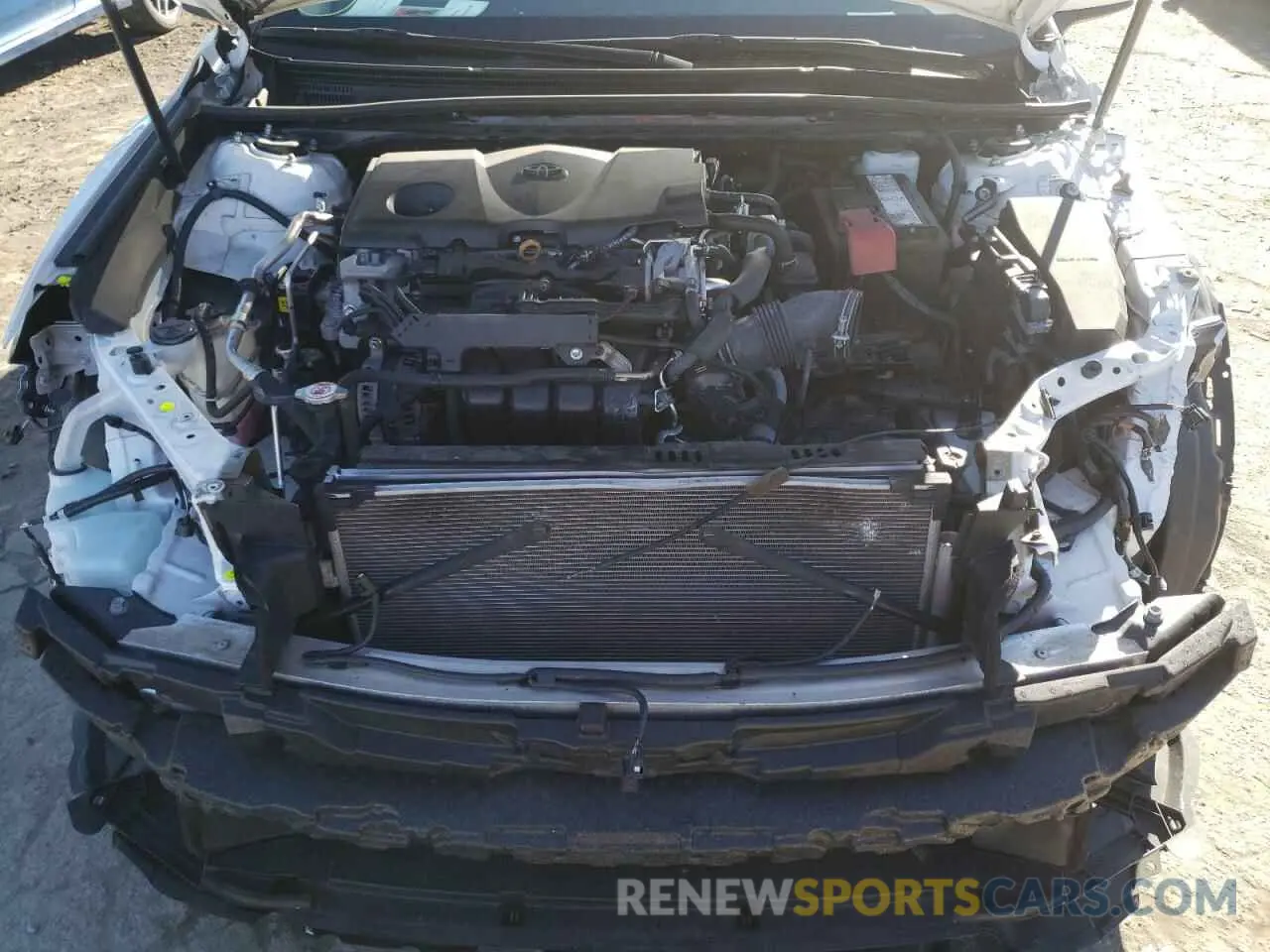 7 Photograph of a damaged car 4T1B11HK2KU169977 TOYOTA CAMRY 2019