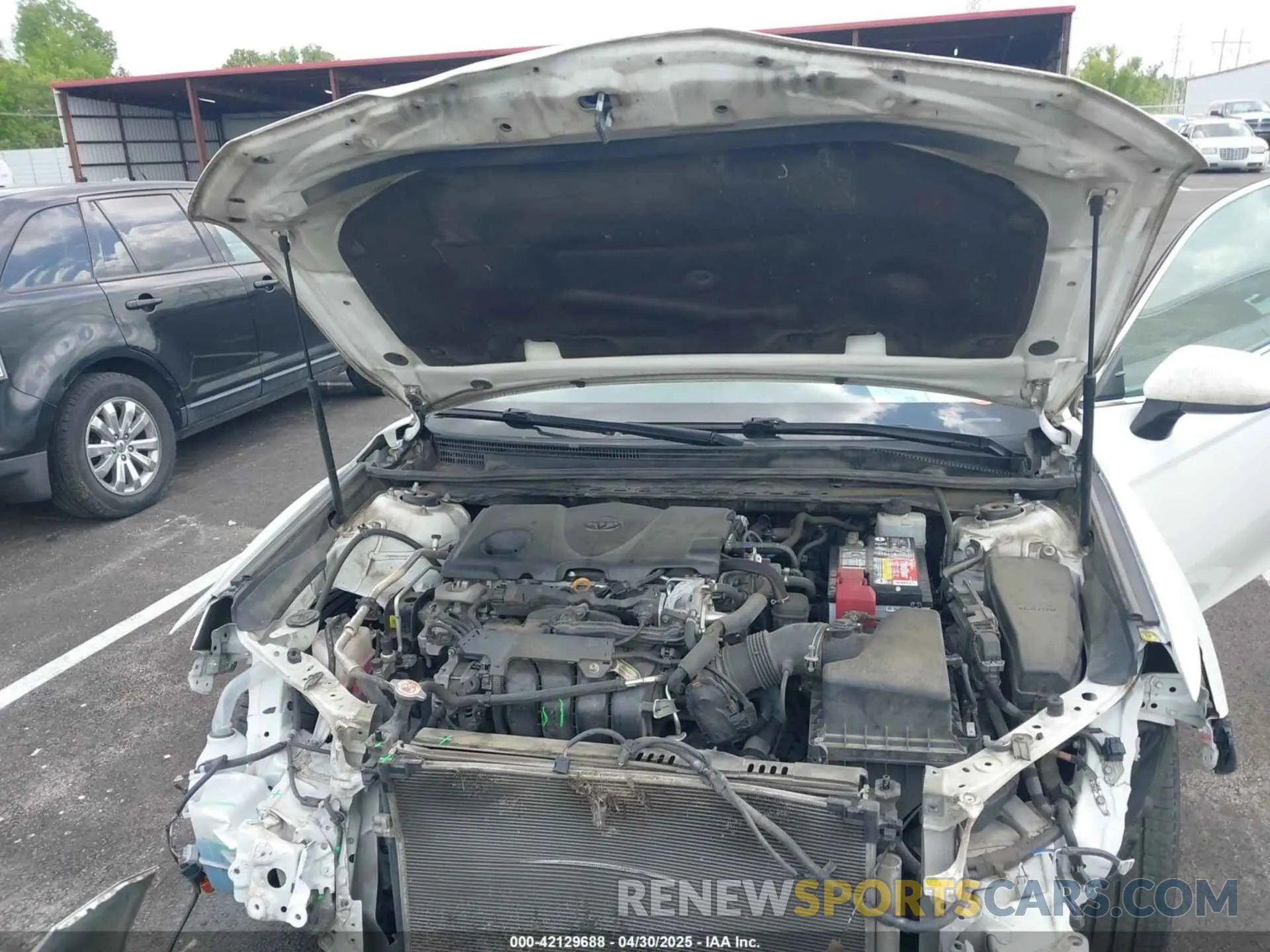 10 Photograph of a damaged car 4T1B11HK2KU743445 TOYOTA CAMRY 2019