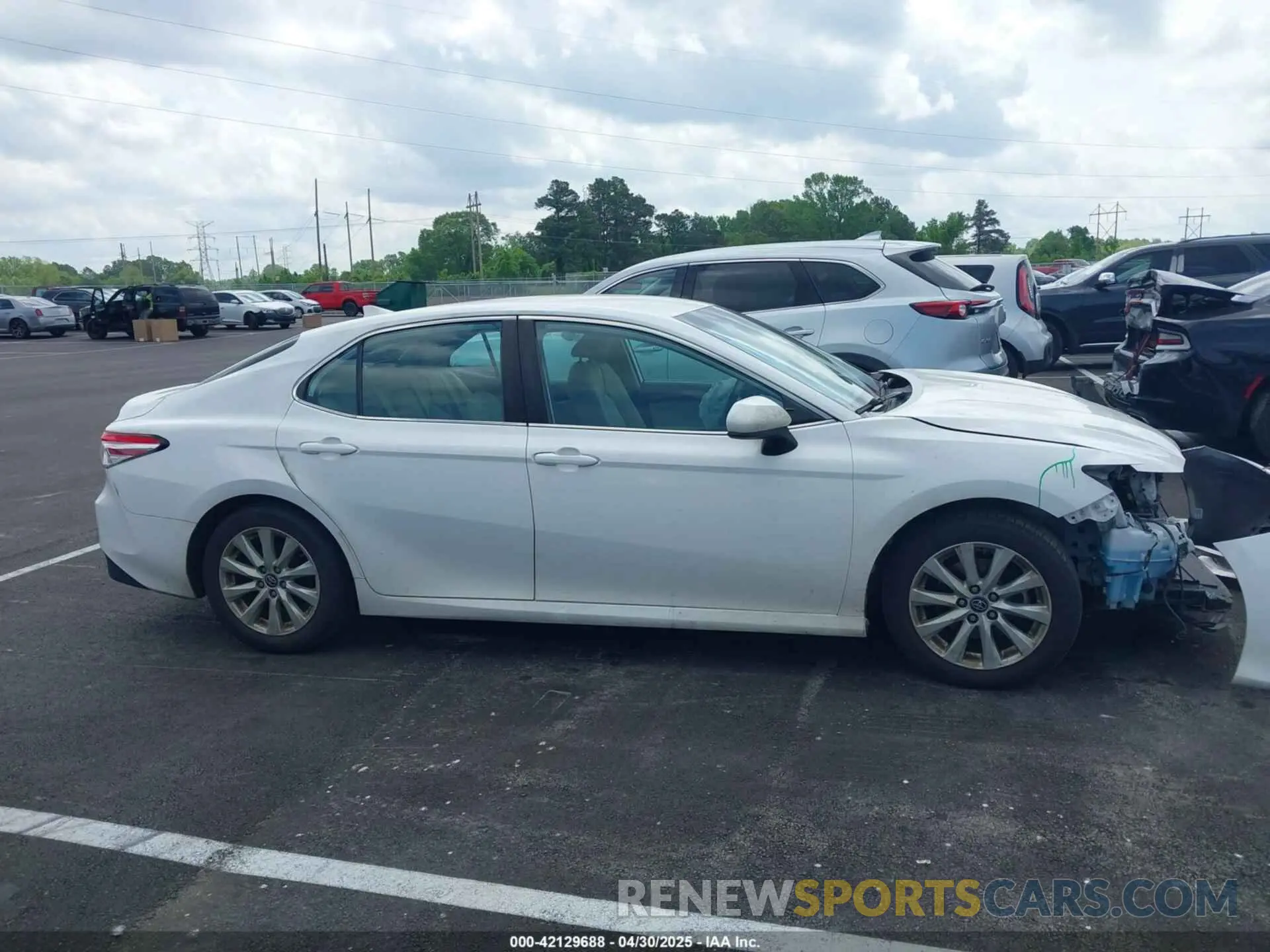 13 Photograph of a damaged car 4T1B11HK2KU743445 TOYOTA CAMRY 2019