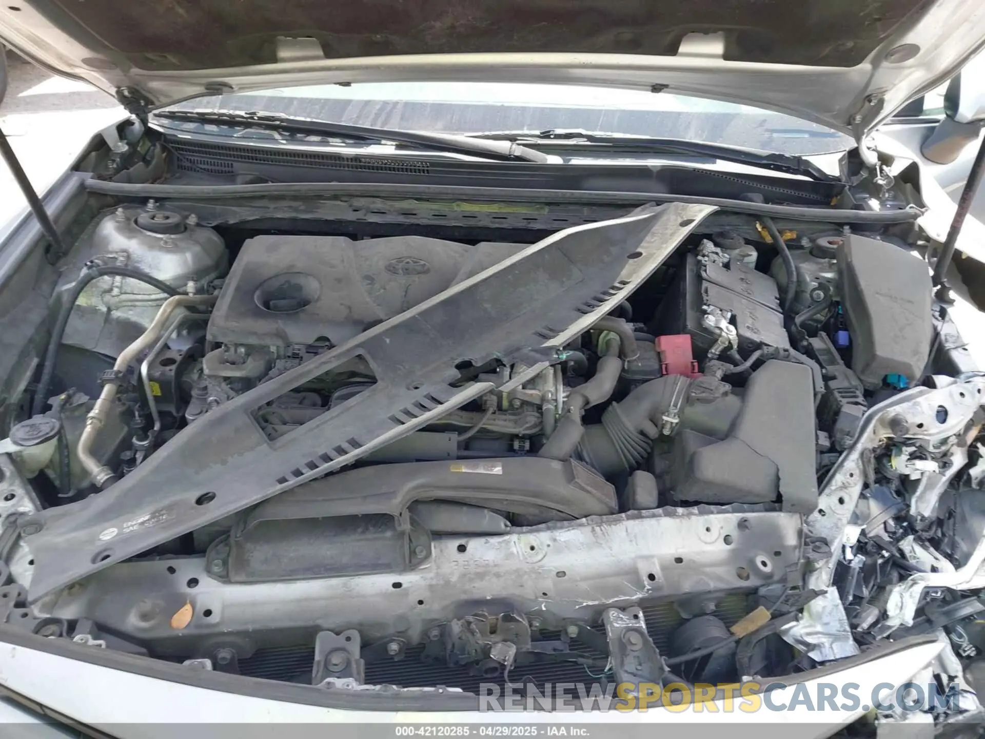 10 Photograph of a damaged car 4T1B11HK3KU166084 TOYOTA CAMRY 2019