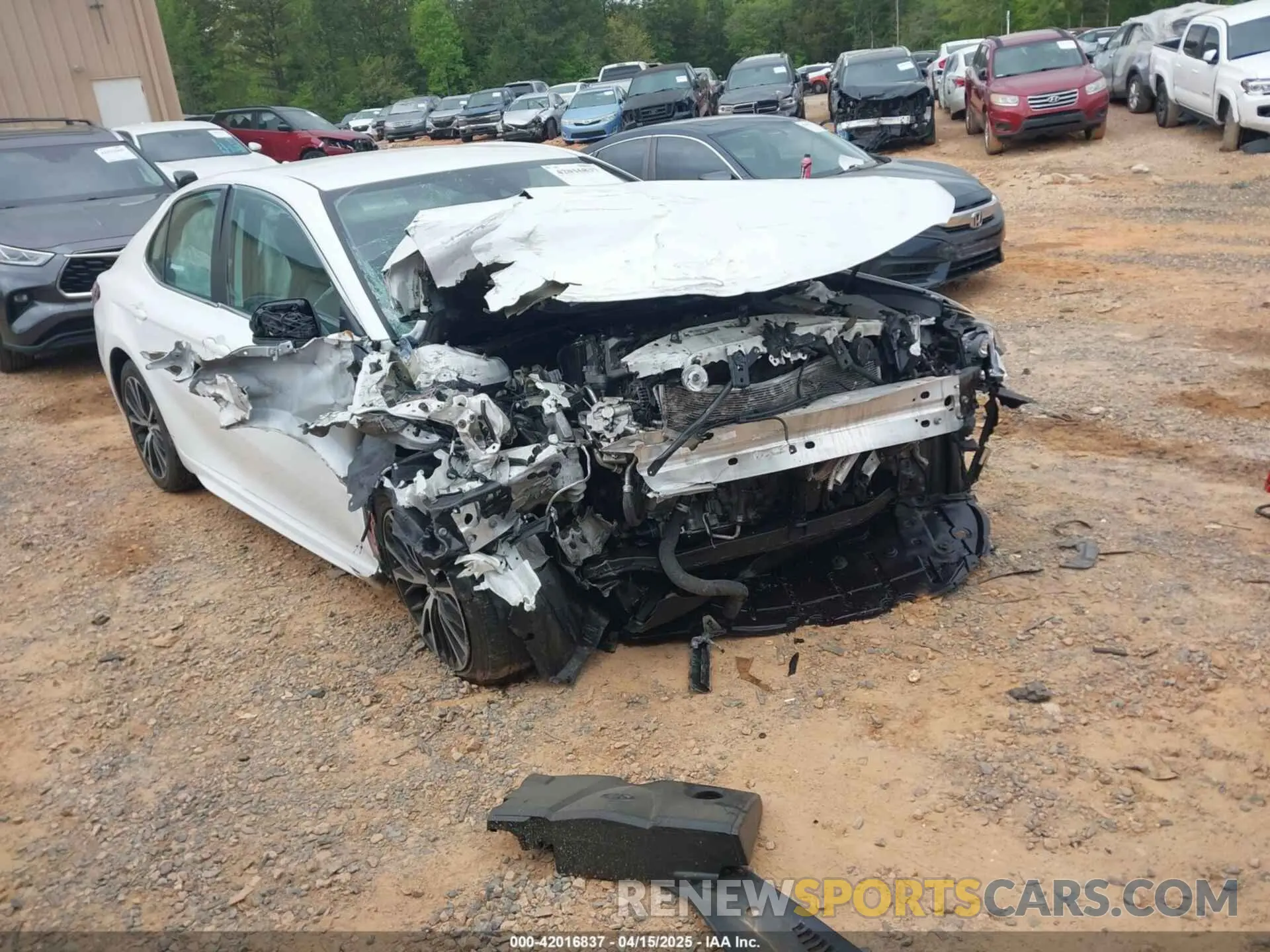1 Photograph of a damaged car 4T1B11HK3KU281333 TOYOTA CAMRY 2019