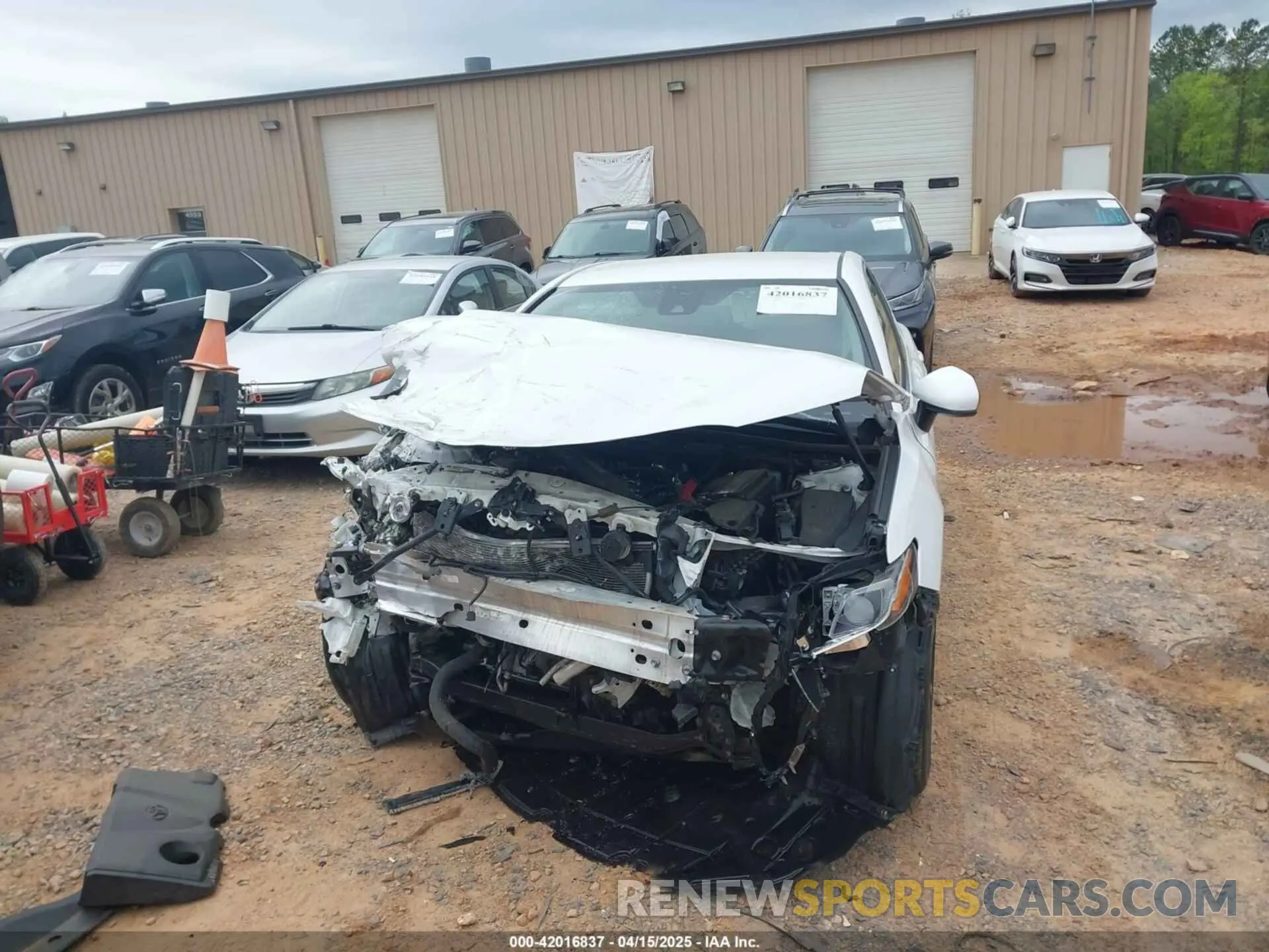 12 Photograph of a damaged car 4T1B11HK3KU281333 TOYOTA CAMRY 2019