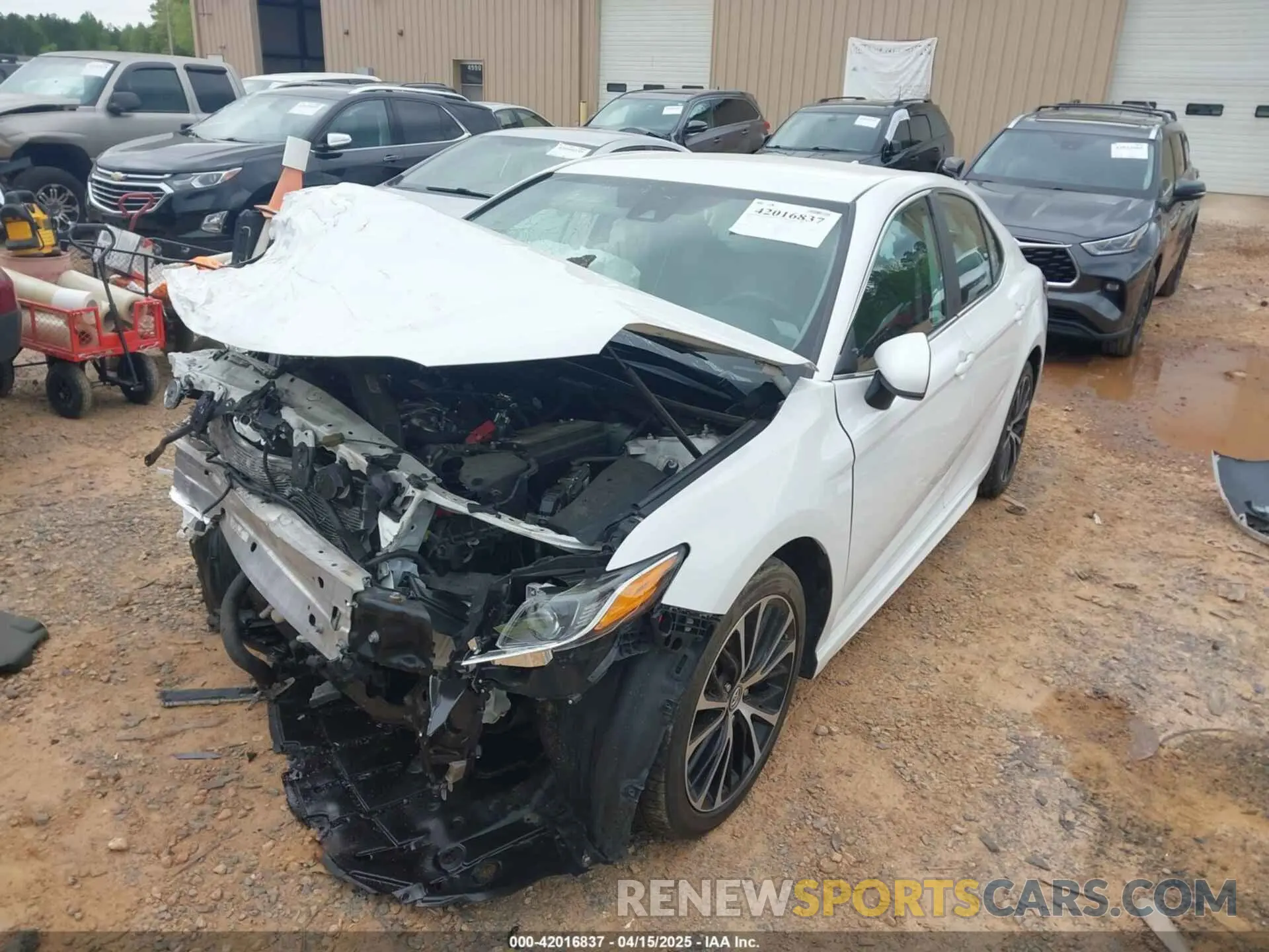 6 Photograph of a damaged car 4T1B11HK3KU281333 TOYOTA CAMRY 2019
