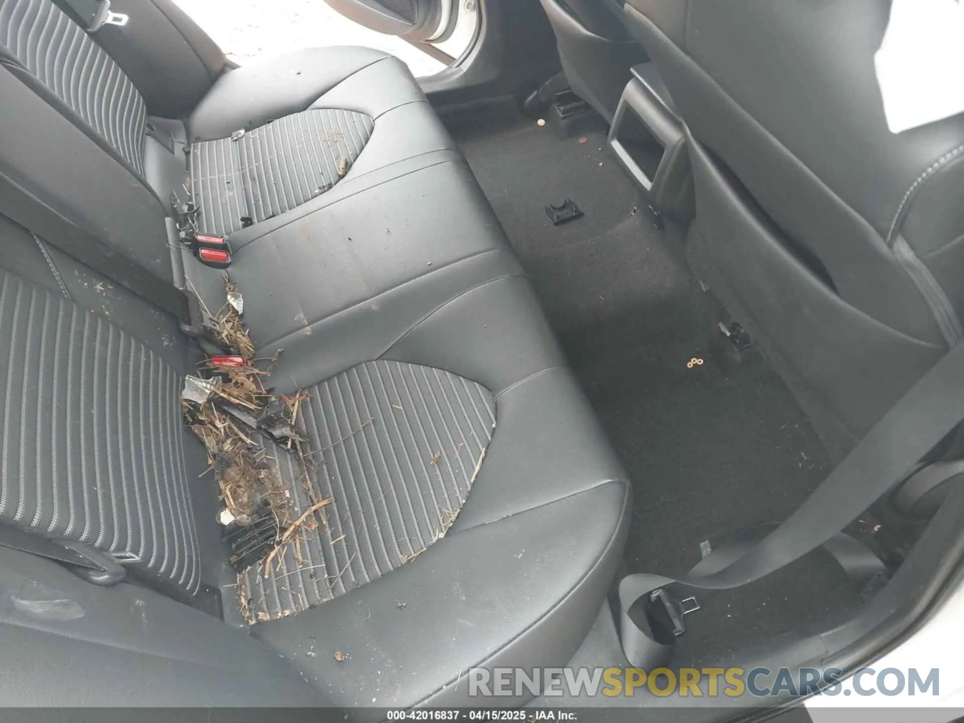 8 Photograph of a damaged car 4T1B11HK3KU281333 TOYOTA CAMRY 2019