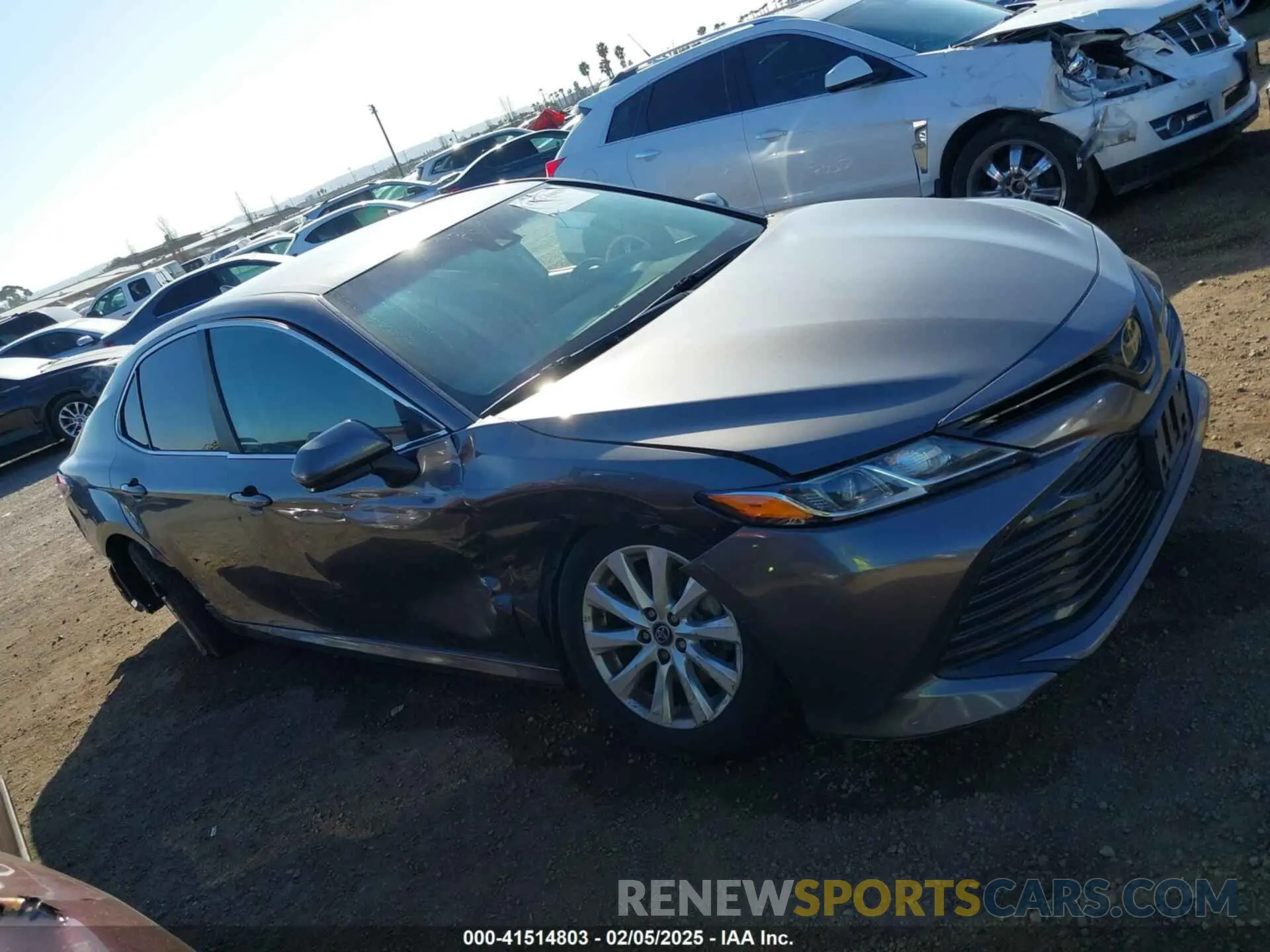 13 Photograph of a damaged car 4T1B11HK3KU284894 TOYOTA CAMRY 2019