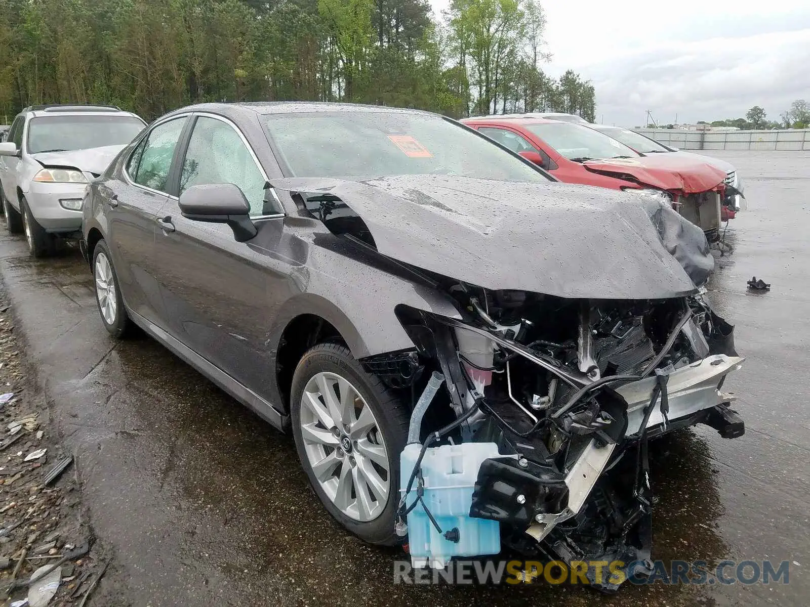 1 Photograph of a damaged car 4T1B11HK3KU696782 TOYOTA CAMRY 2019