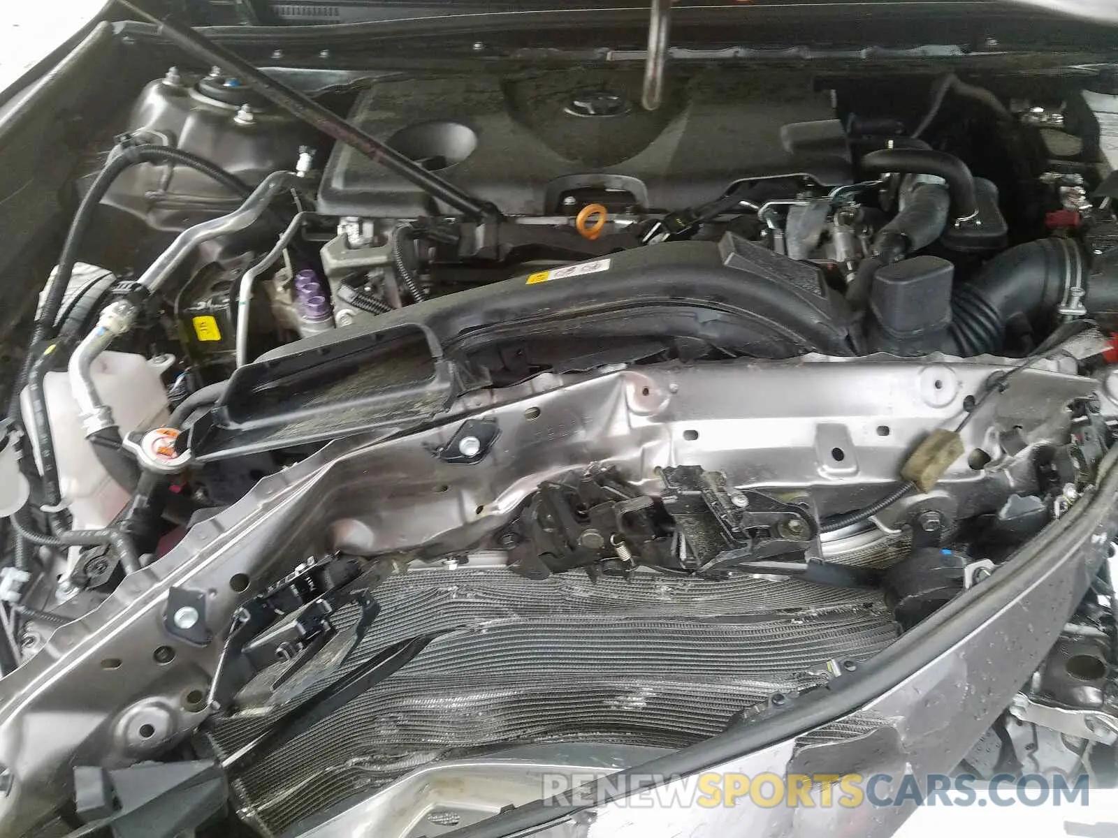 7 Photograph of a damaged car 4T1B11HK3KU696782 TOYOTA CAMRY 2019