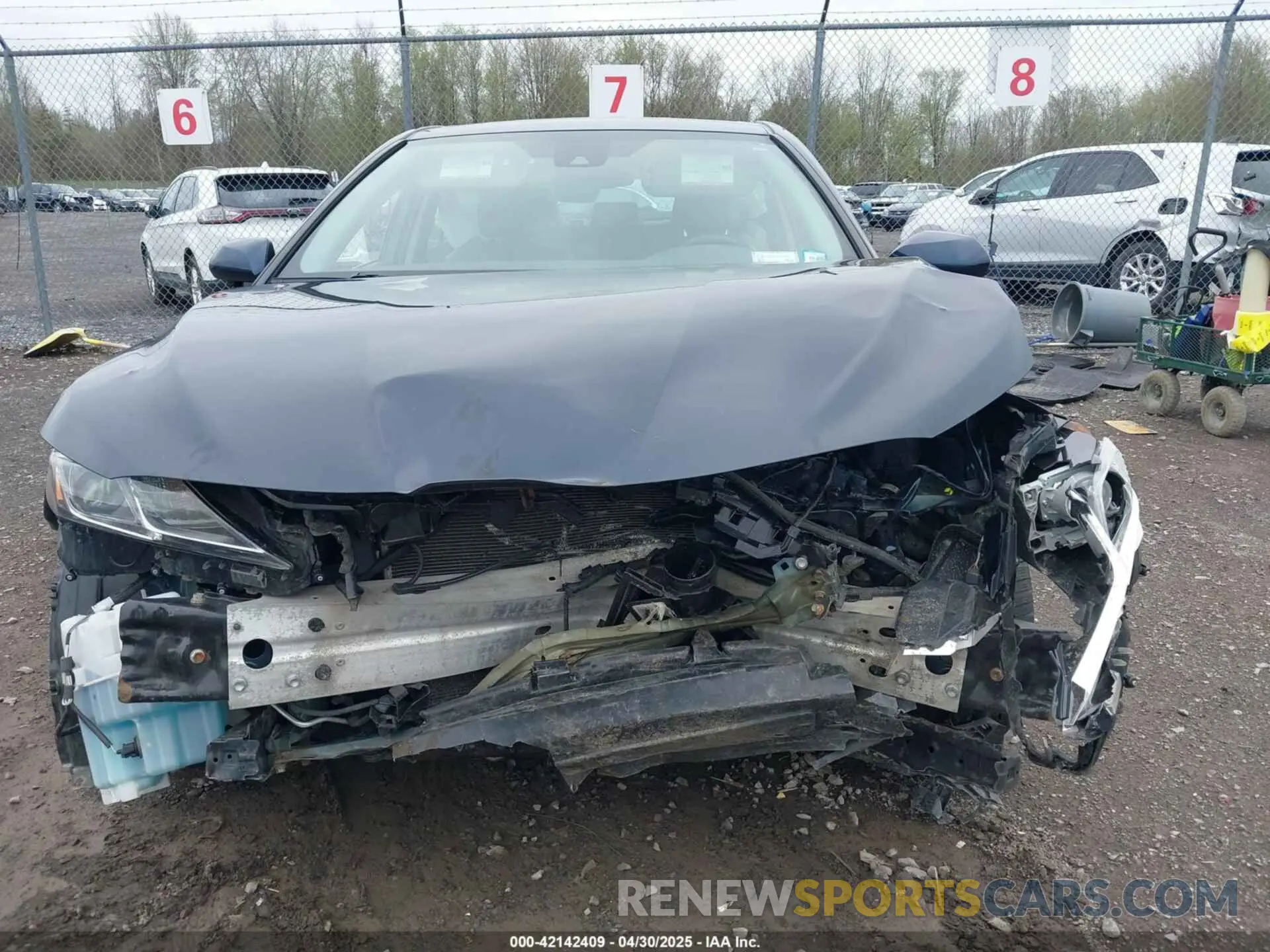 13 Photograph of a damaged car 4T1B11HK3KU702368 TOYOTA CAMRY 2019