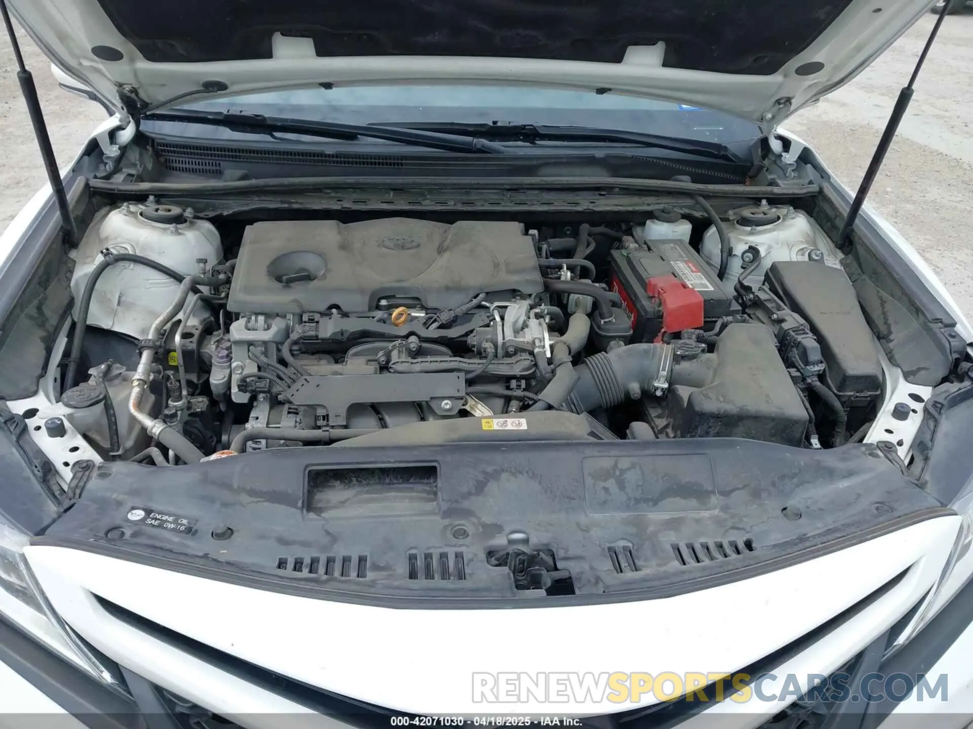 10 Photograph of a damaged car 4T1B11HK3KU719137 TOYOTA CAMRY 2019