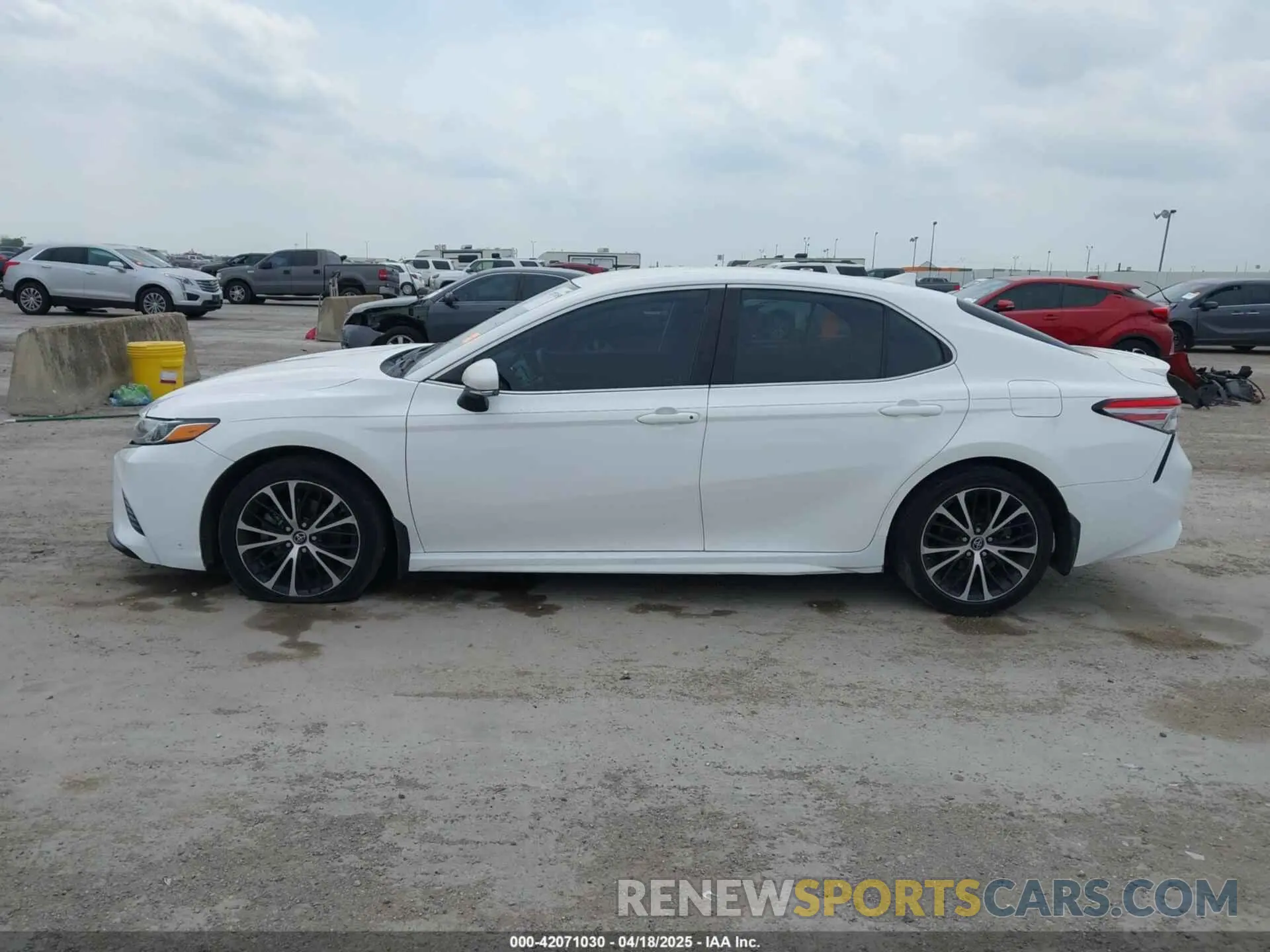 14 Photograph of a damaged car 4T1B11HK3KU719137 TOYOTA CAMRY 2019
