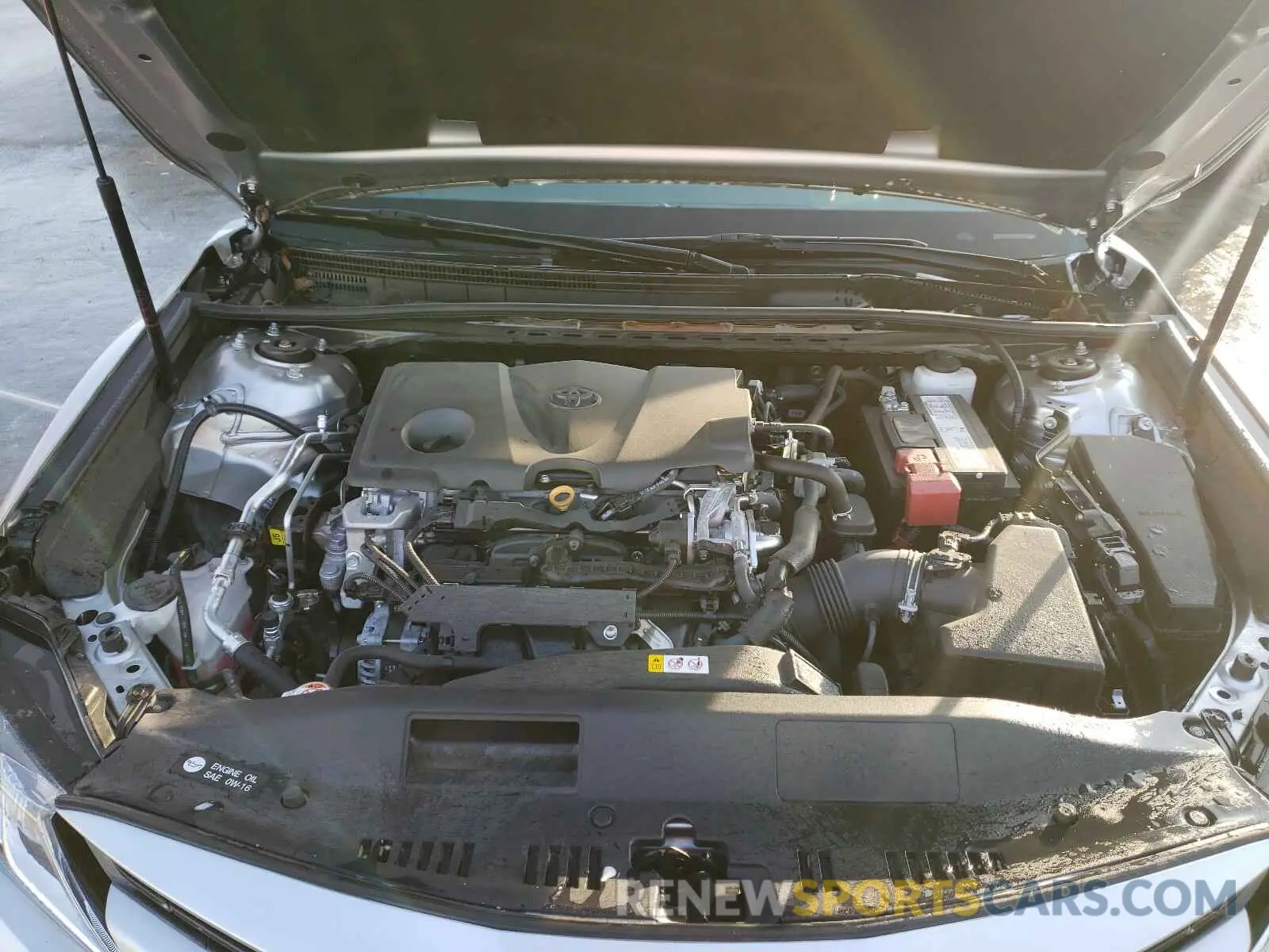 7 Photograph of a damaged car 4T1B11HK3KU813471 TOYOTA CAMRY 2019