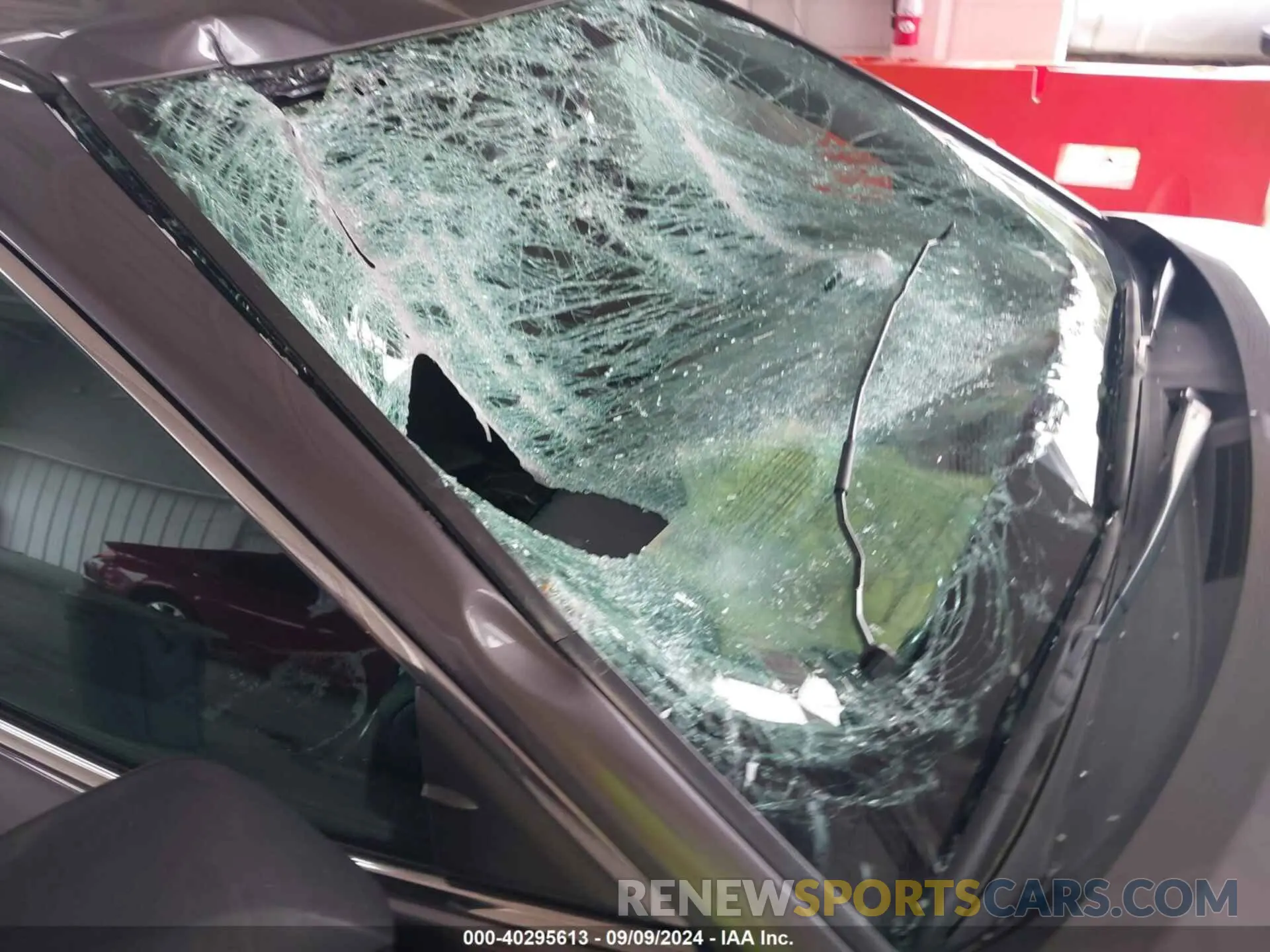 6 Photograph of a damaged car 4T1B11HK4KU184223 TOYOTA CAMRY 2019