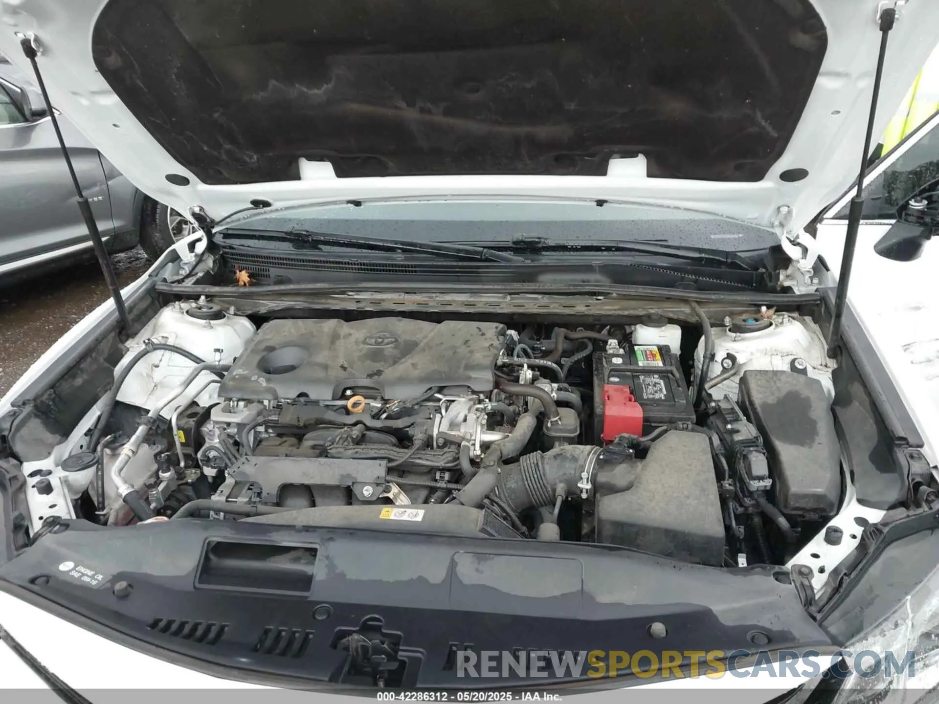 10 Photograph of a damaged car 4T1B11HK4KU192631 TOYOTA CAMRY 2019