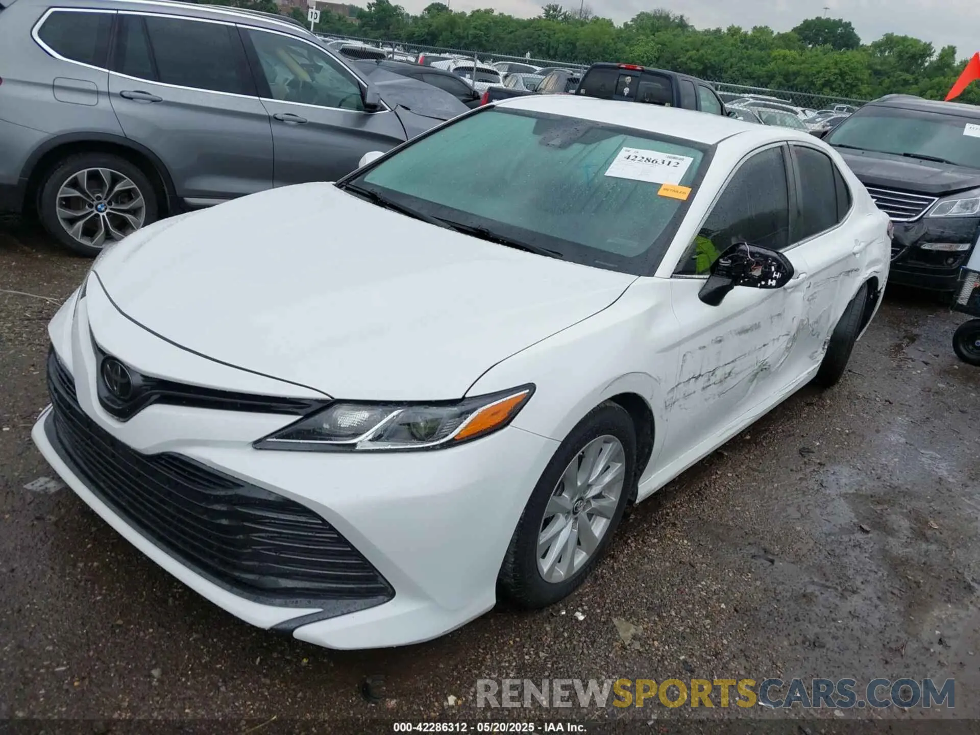 2 Photograph of a damaged car 4T1B11HK4KU192631 TOYOTA CAMRY 2019