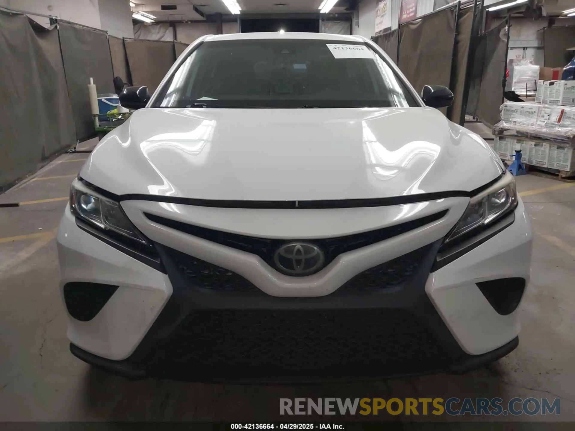 12 Photograph of a damaged car 4T1B11HK4KU262869 TOYOTA CAMRY 2019