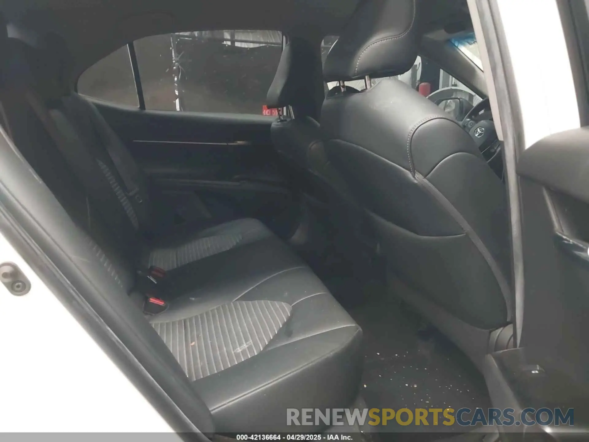 8 Photograph of a damaged car 4T1B11HK4KU262869 TOYOTA CAMRY 2019