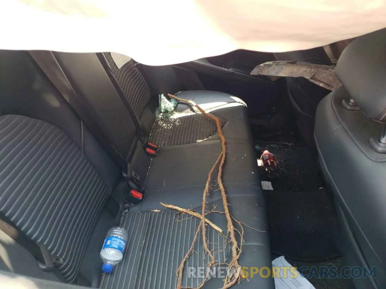 6 Photograph of a damaged car 4T1B11HK4KU679313 TOYOTA CAMRY 2019