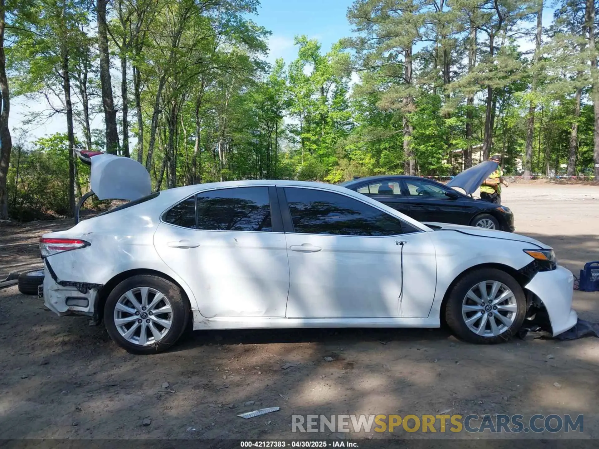 14 Фотография поврежденного автомобиля 4T1B11HK4KU743270 TOYOTA CAMRY 2019