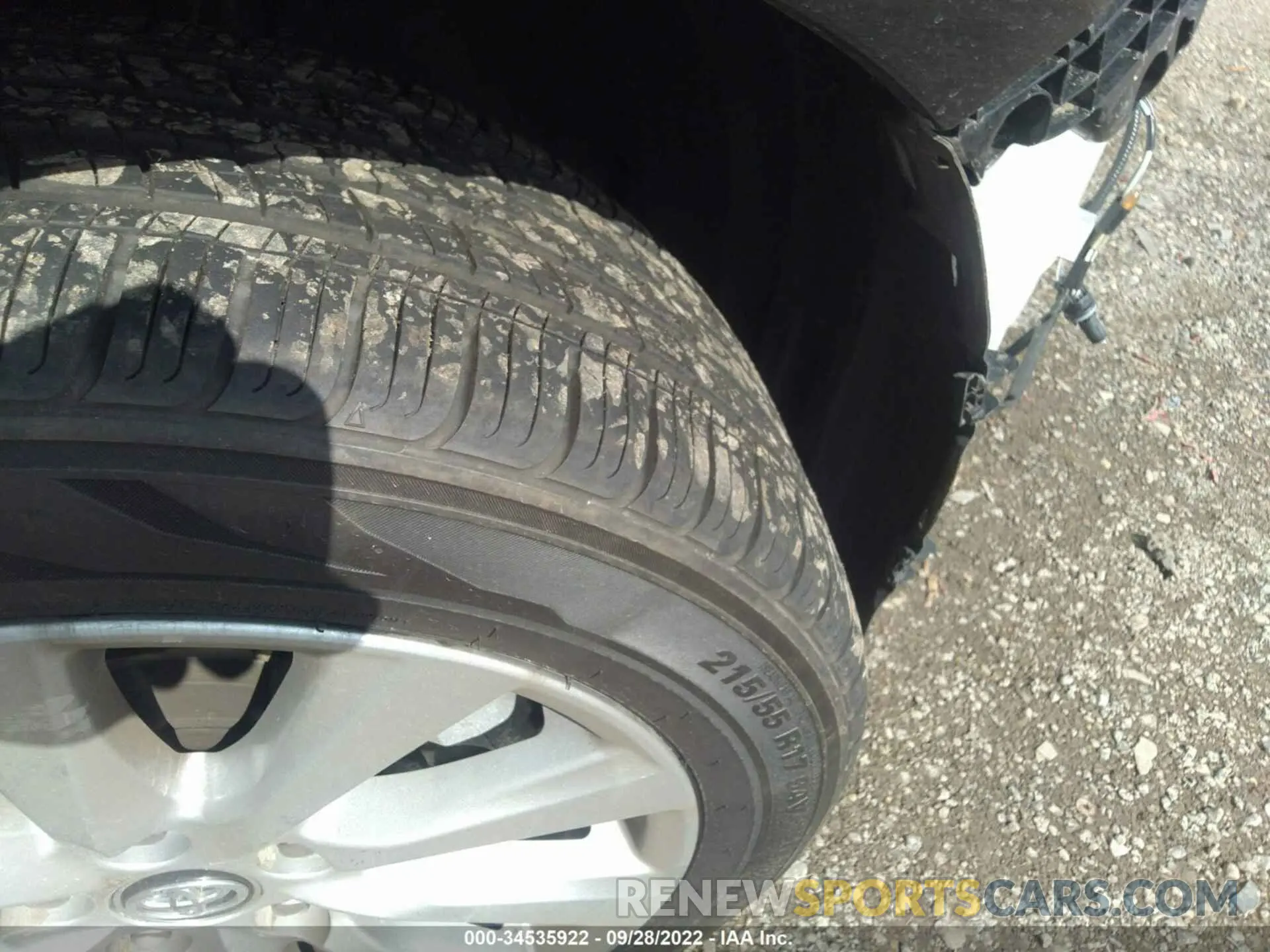 15 Photograph of a damaged car 4T1B11HK4KU819330 TOYOTA CAMRY 2019