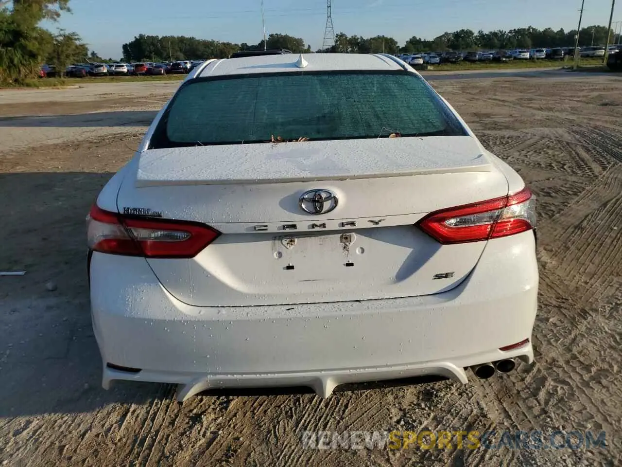 6 Photograph of a damaged car 4T1B11HK5KU195943 TOYOTA CAMRY 2019