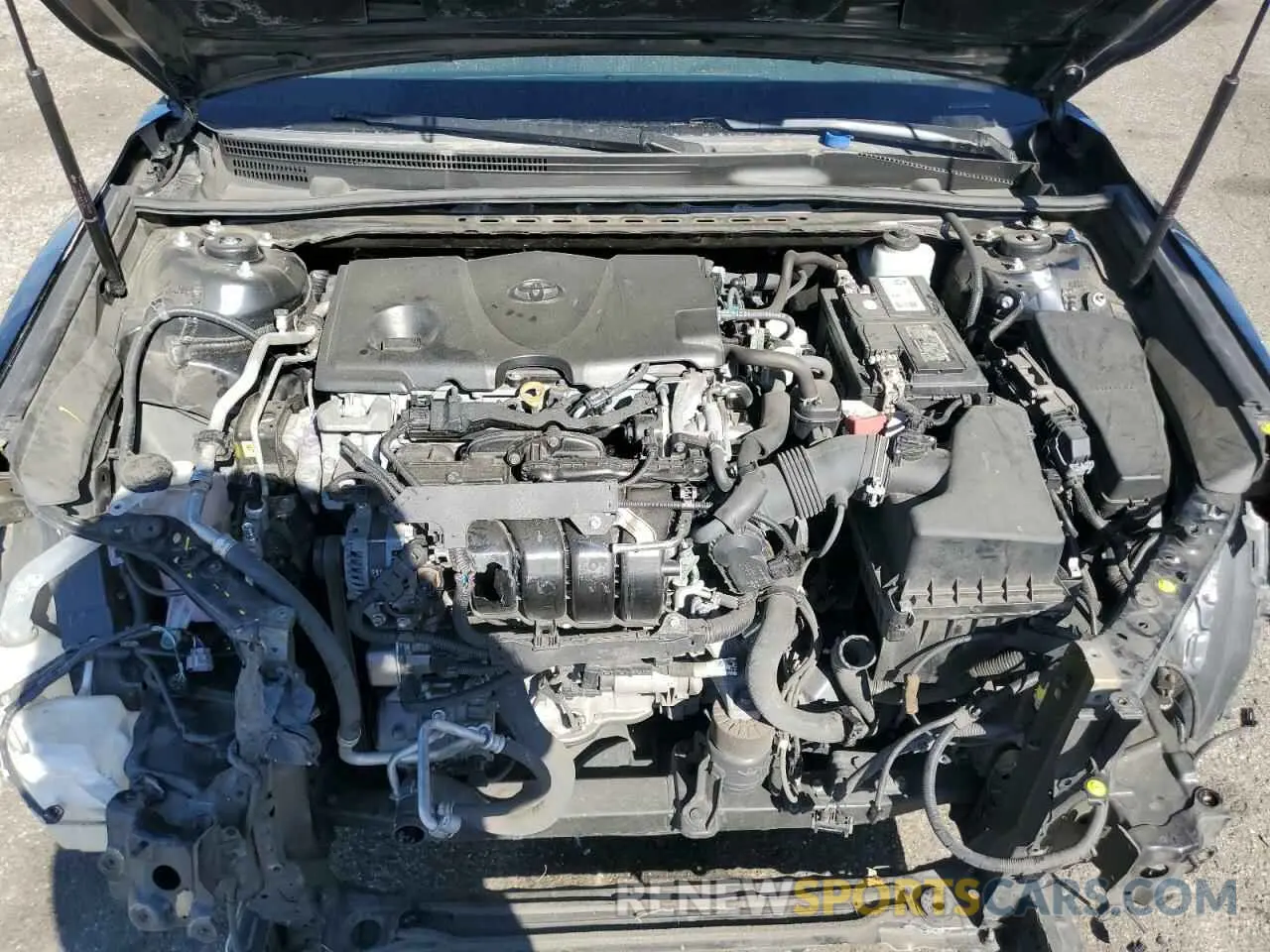 13 Photograph of a damaged car 4T1B11HK5KU204138 TOYOTA CAMRY 2019