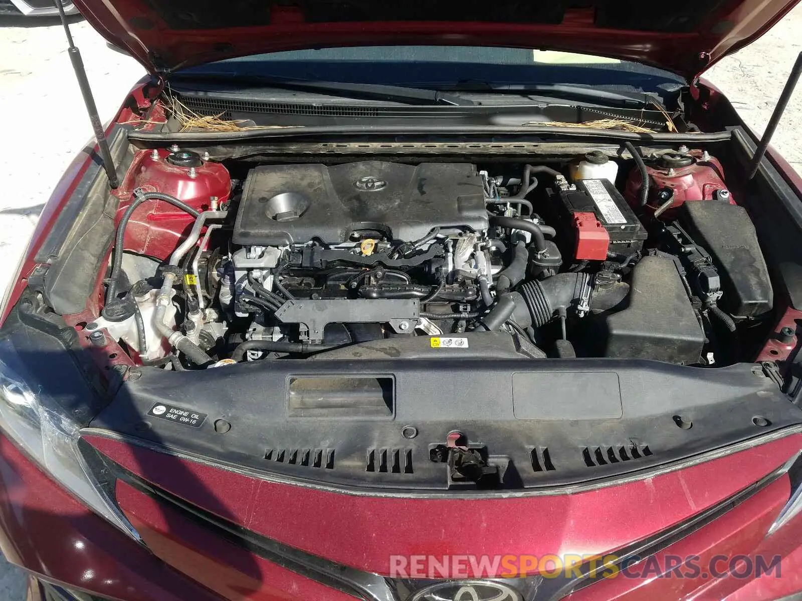 7 Photograph of a damaged car 4T1B11HK5KU698081 TOYOTA CAMRY 2019