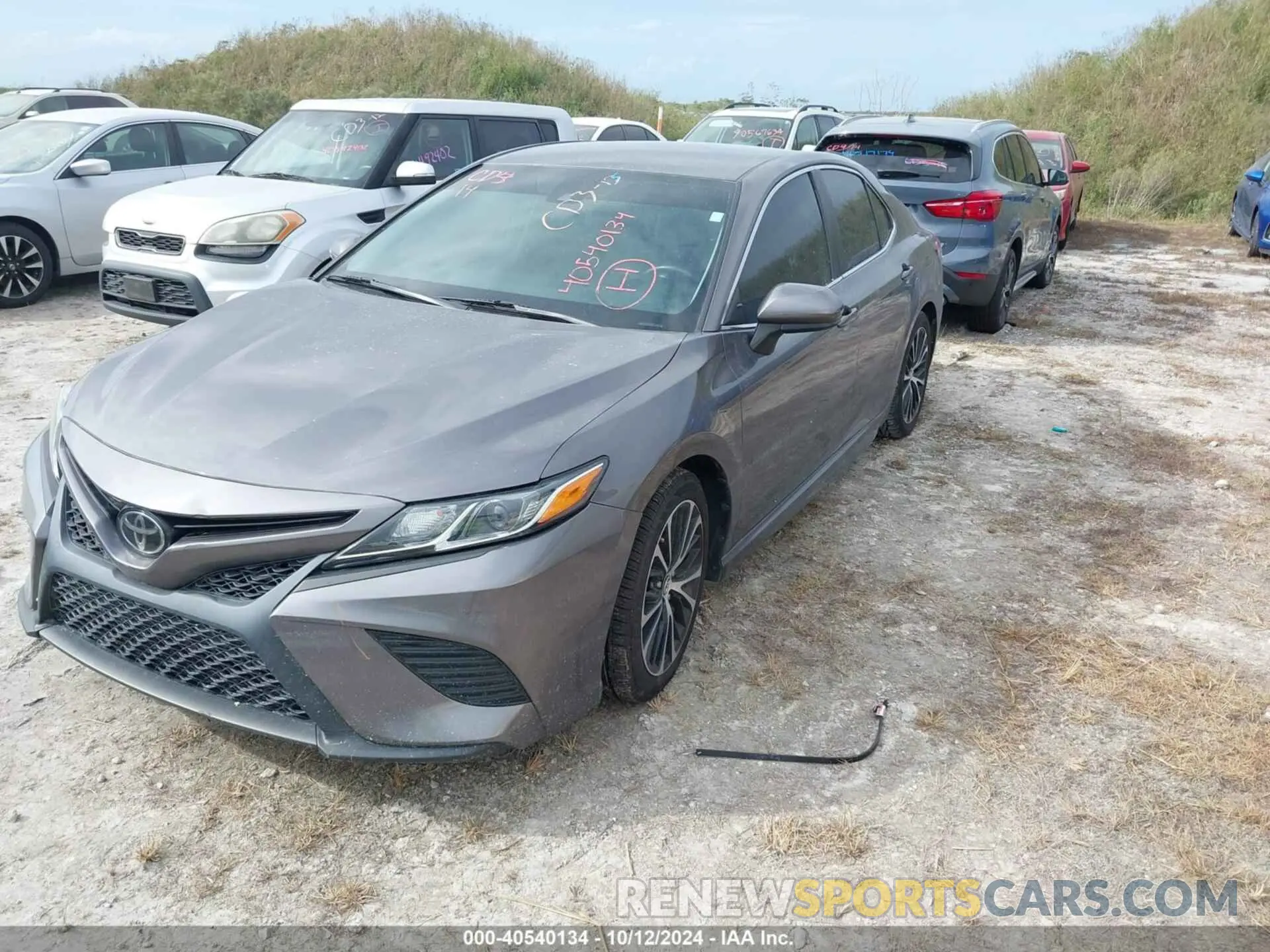 2 Photograph of a damaged car 4T1B11HK5KU700024 TOYOTA CAMRY 2019