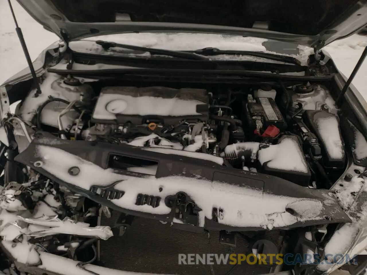 7 Photograph of a damaged car 4T1B11HK5KU741981 TOYOTA CAMRY 2019
