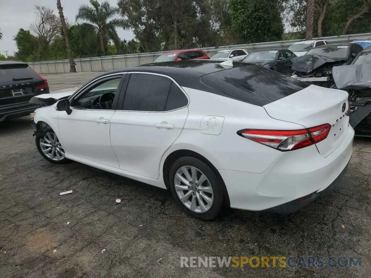 2 Photograph of a damaged car 4T1B11HK5KU757680 TOYOTA CAMRY 2019