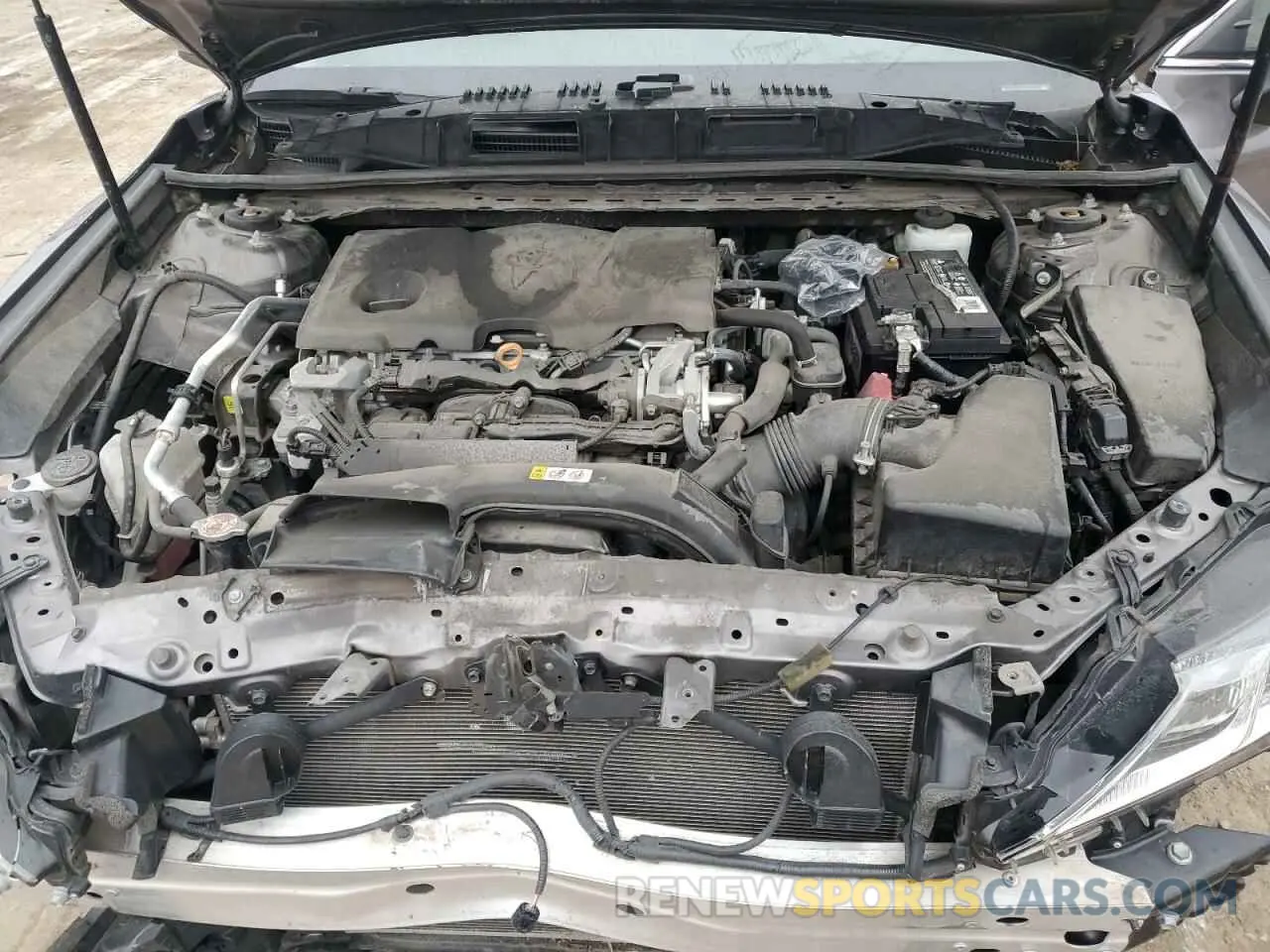 11 Photograph of a damaged car 4T1B11HK5KU767707 TOYOTA CAMRY 2019