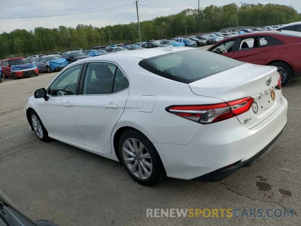 2 Фотография поврежденного автомобиля 4T1B11HK6KU258712 TOYOTA CAMRY 2019