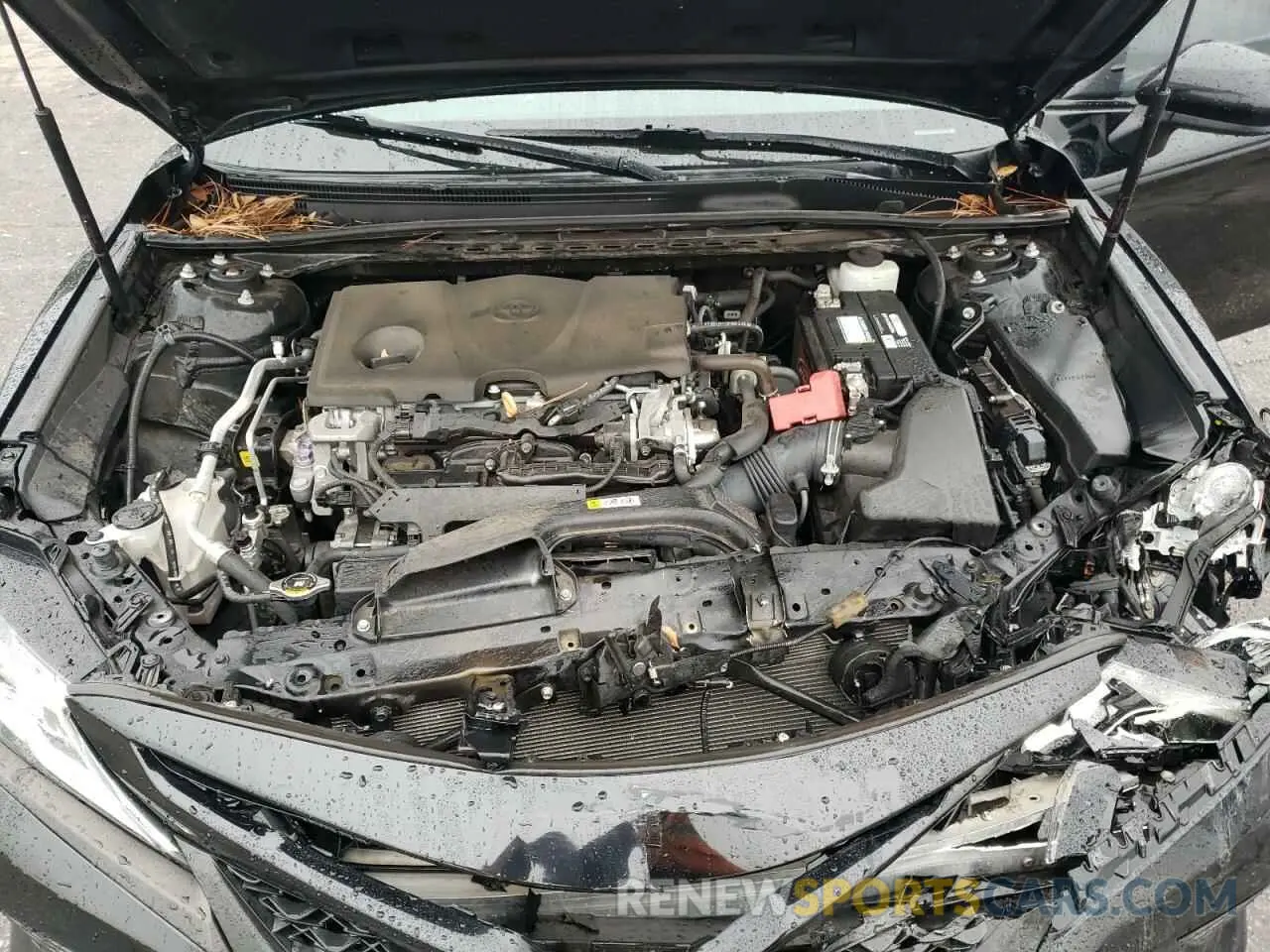 12 Photograph of a damaged car 4T1B11HK6KU283108 TOYOTA CAMRY 2019
