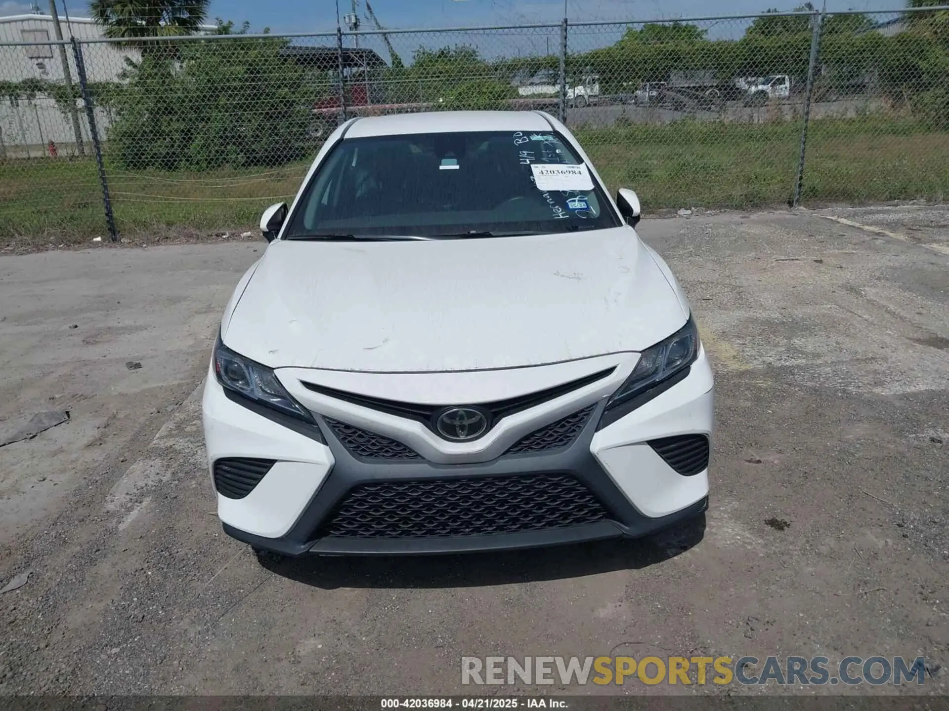 12 Photograph of a damaged car 4T1B11HK6KU288602 TOYOTA CAMRY 2019