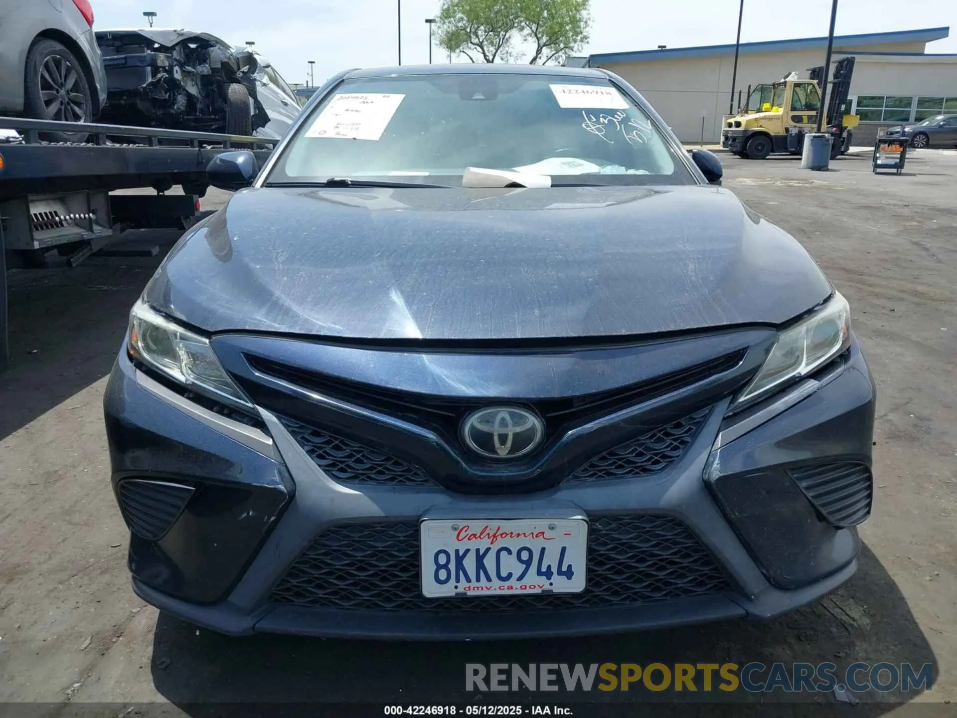12 Photograph of a damaged car 4T1B11HK6KU767554 TOYOTA CAMRY 2019