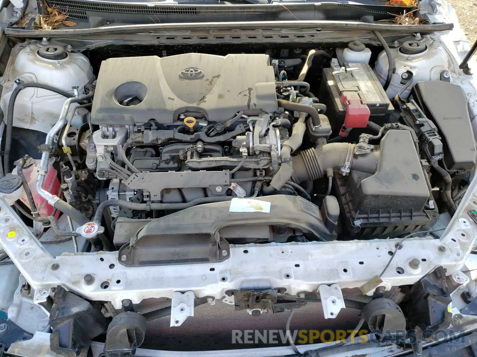 7 Photograph of a damaged car 4T1B11HK6KU828997 TOYOTA CAMRY 2019