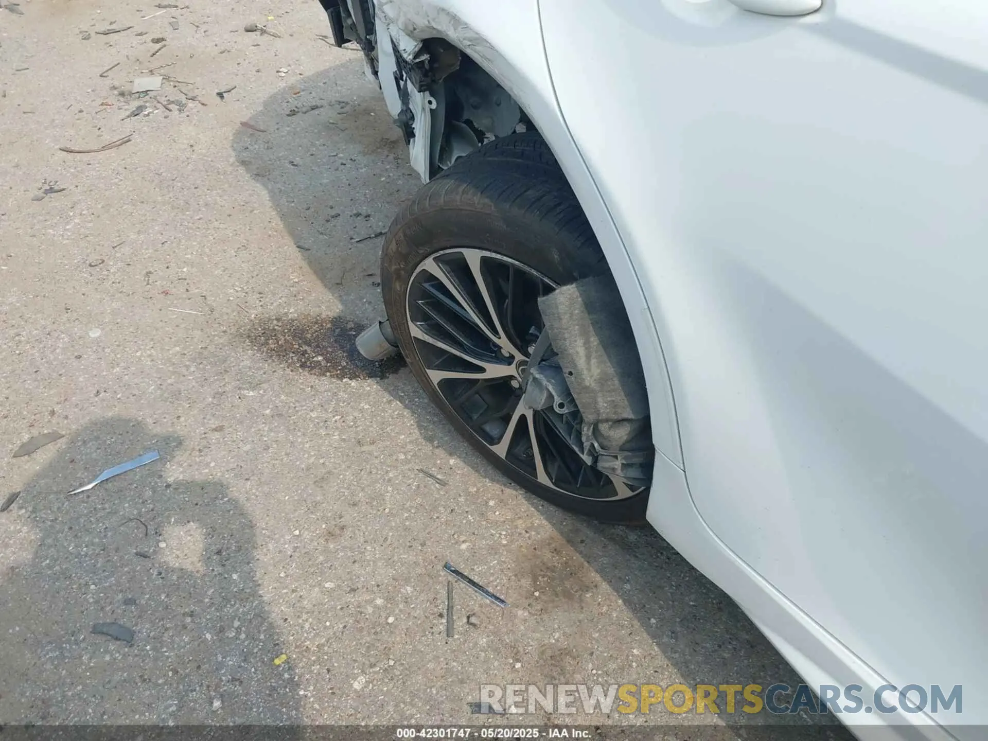 6 Фотография поврежденного автомобиля 4T1B11HK6KU847730 TOYOTA CAMRY 2019