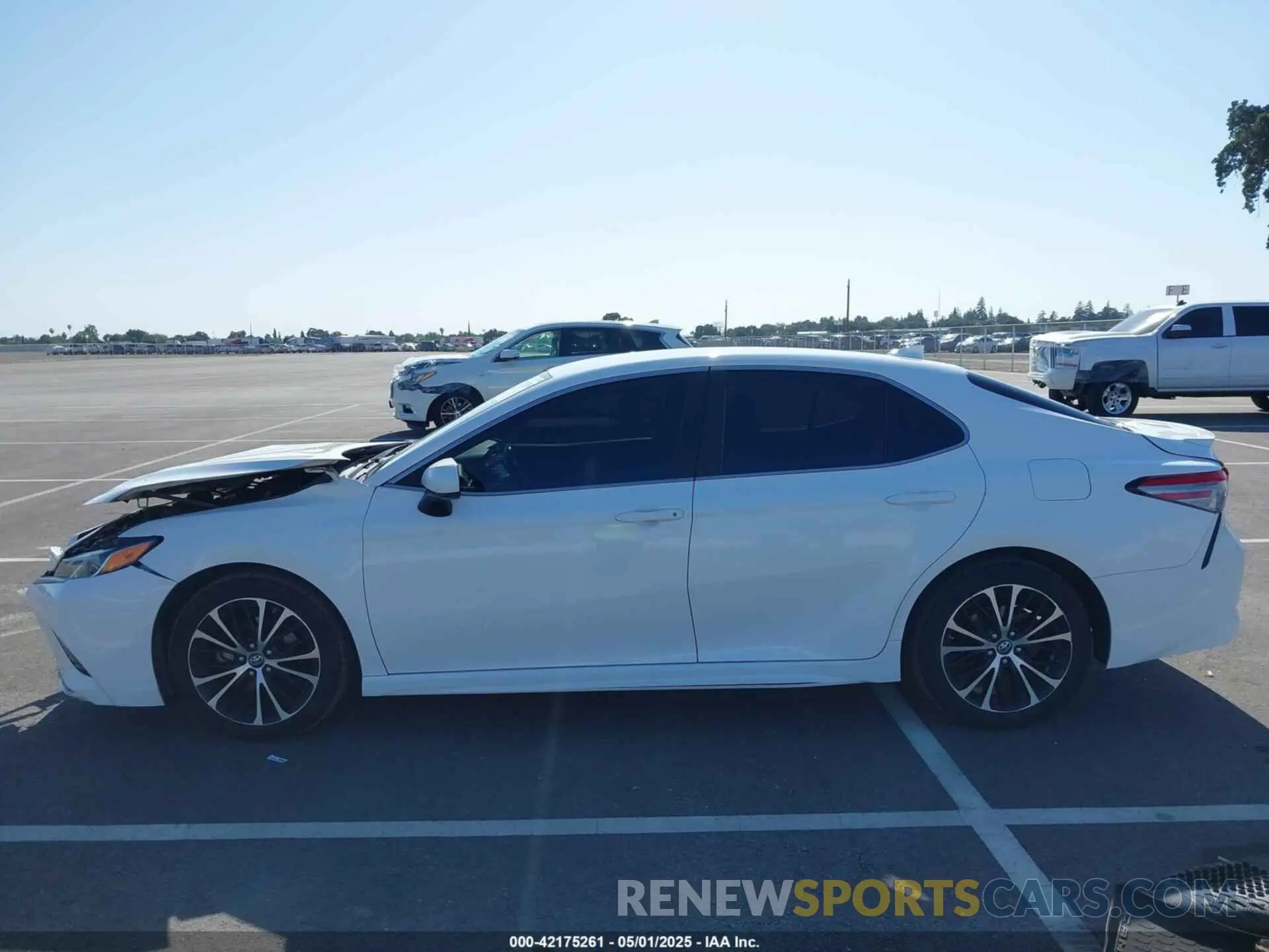 14 Photograph of a damaged car 4T1B11HK7KU161521 TOYOTA CAMRY 2019