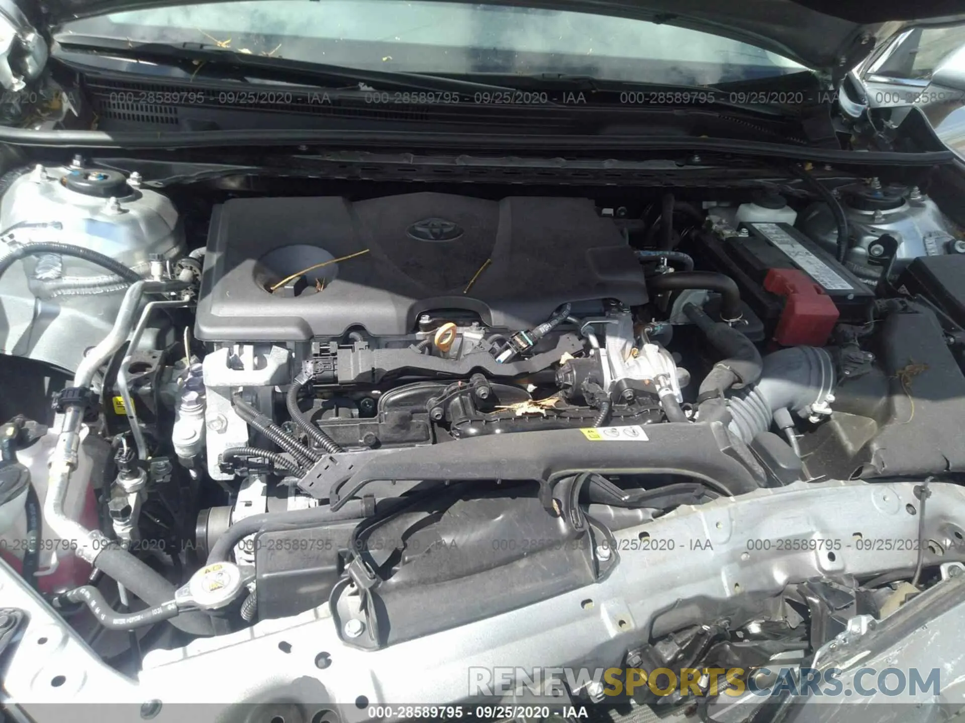 10 Photograph of a damaged car 4T1B11HK7KU165584 TOYOTA CAMRY 2019