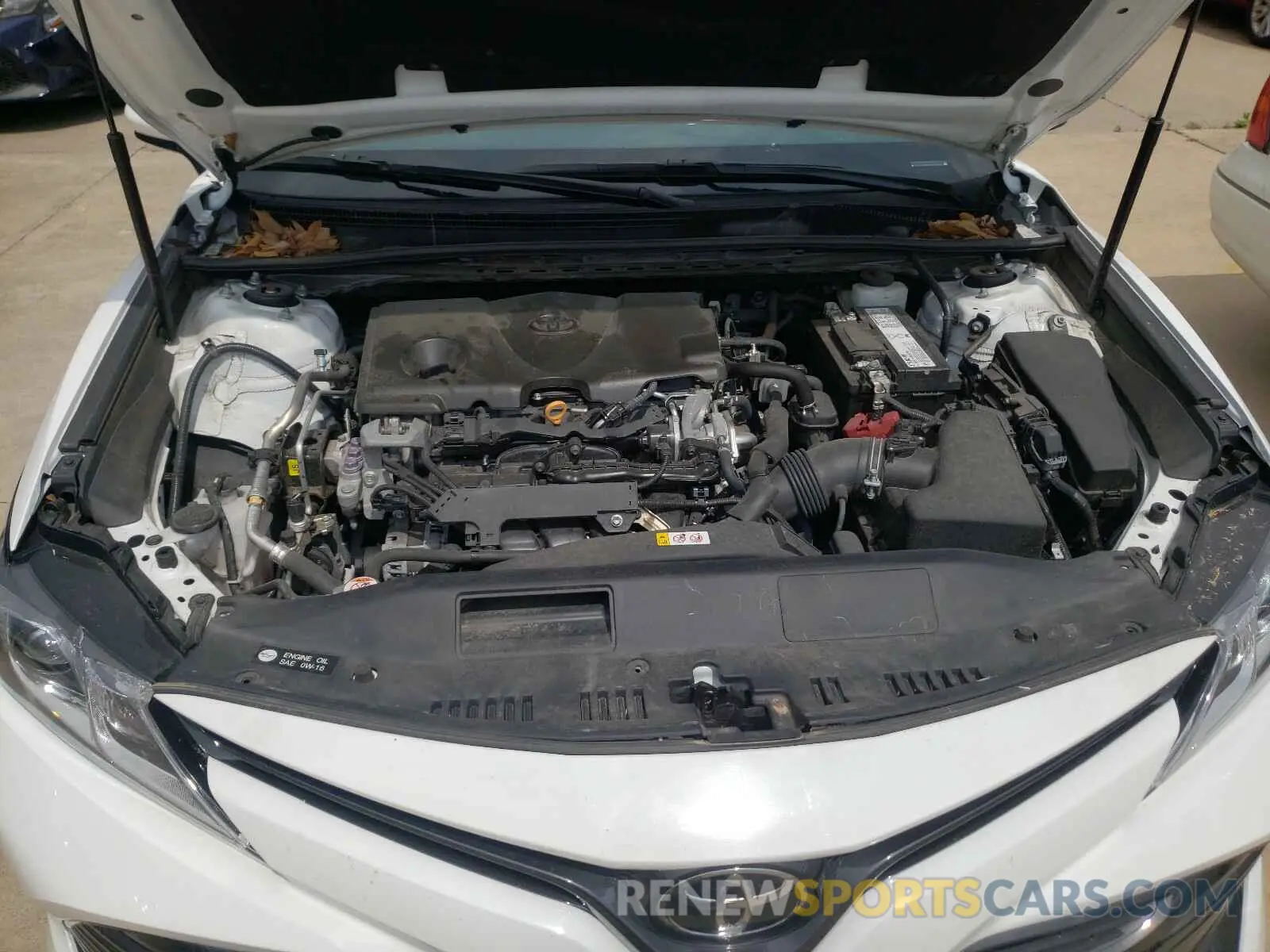 7 Photograph of a damaged car 4T1B11HK7KU239084 TOYOTA CAMRY 2019