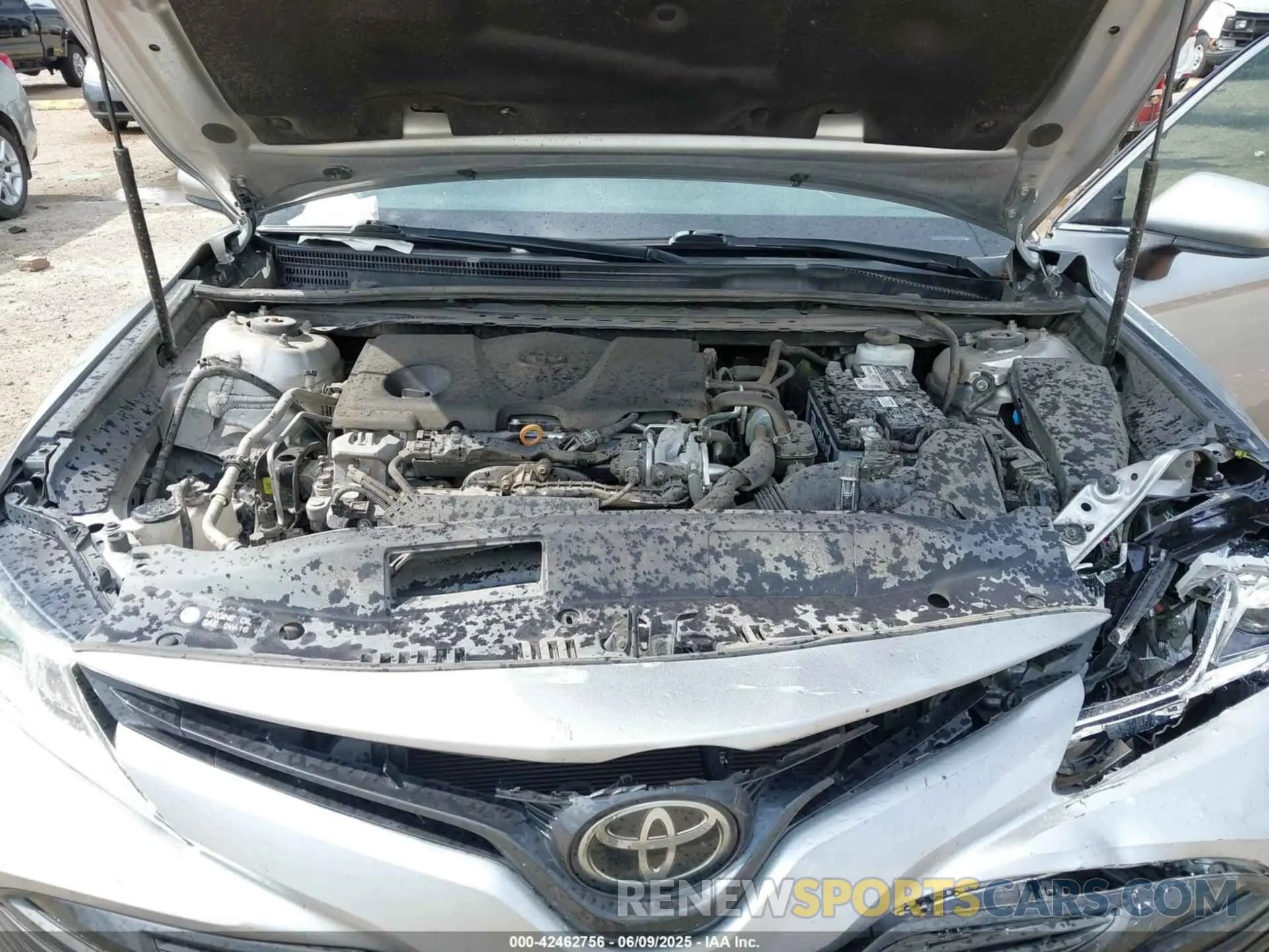 10 Photograph of a damaged car 4T1B11HK7KU262509 TOYOTA CAMRY 2019