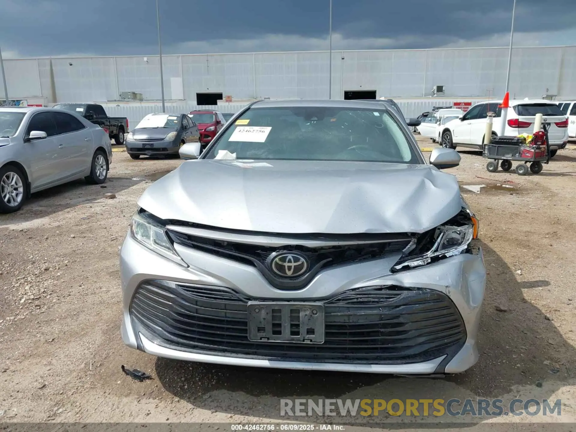 12 Photograph of a damaged car 4T1B11HK7KU262509 TOYOTA CAMRY 2019