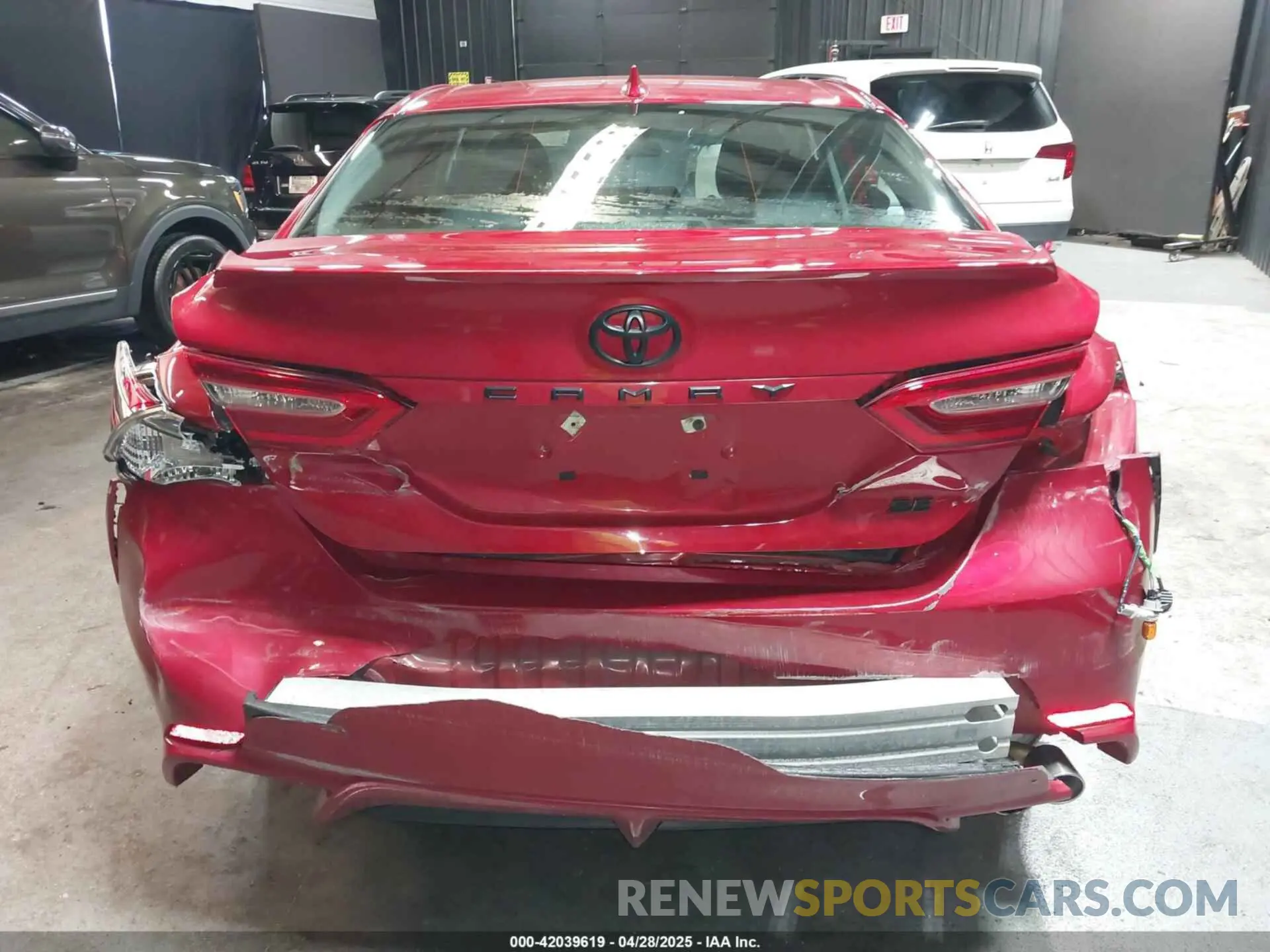 6 Photograph of a damaged car 4T1B11HK7KU271937 TOYOTA CAMRY 2019