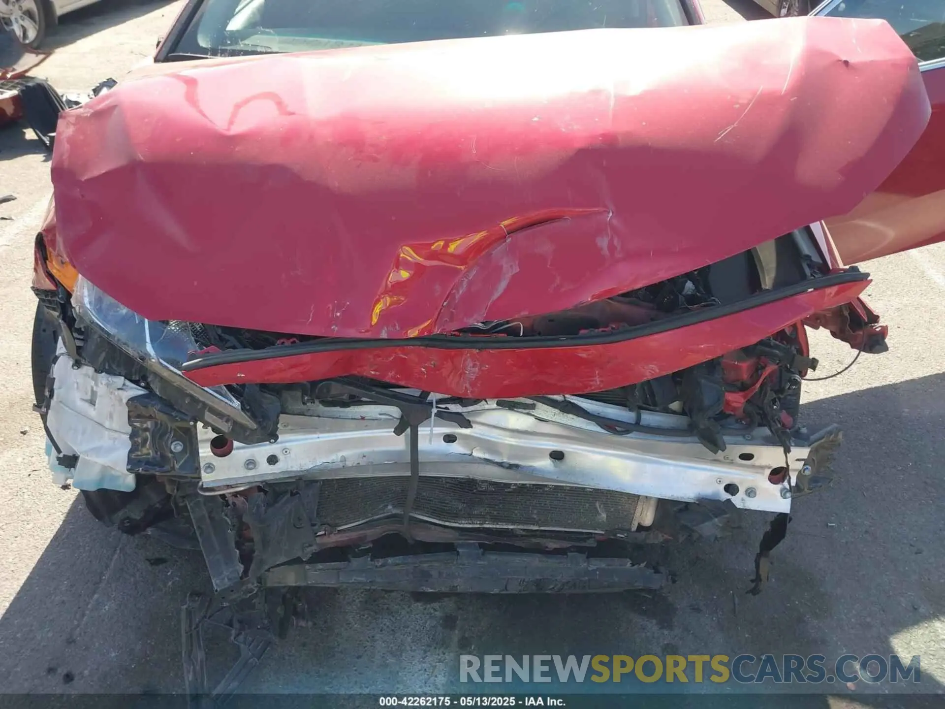 6 Photograph of a damaged car 4T1B11HK7KU279195 TOYOTA CAMRY 2019