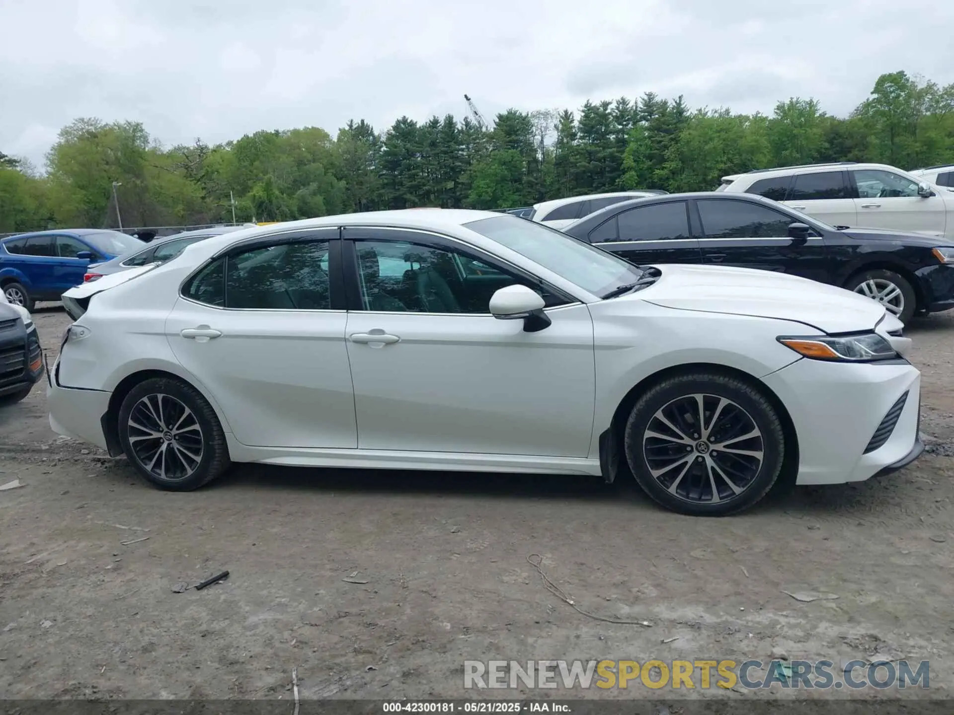 13 Photograph of a damaged car 4T1B11HK7KU746129 TOYOTA CAMRY 2019