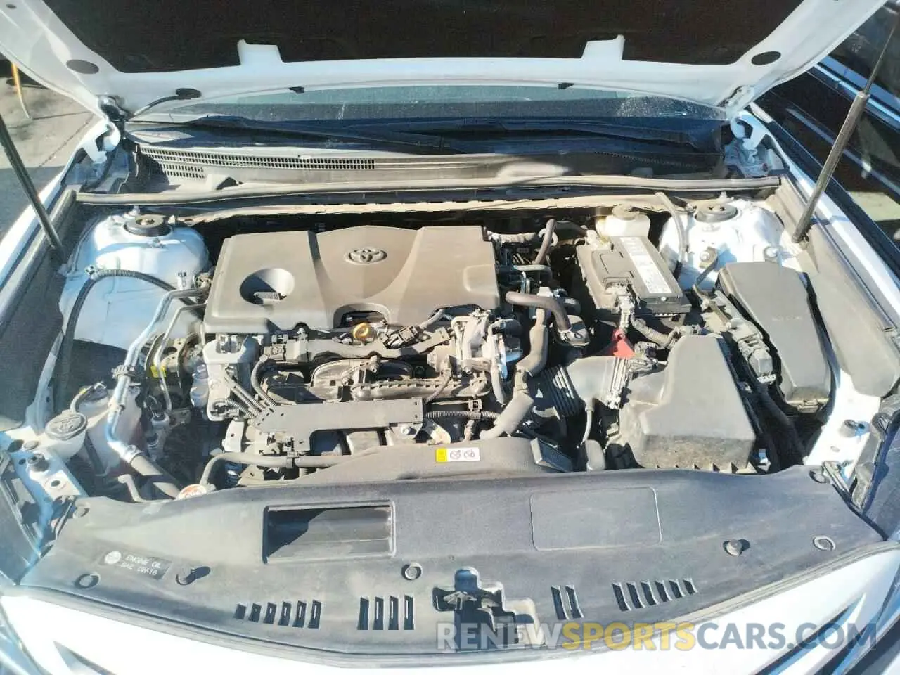 7 Photograph of a damaged car 4T1B11HK7KU770852 TOYOTA CAMRY 2019