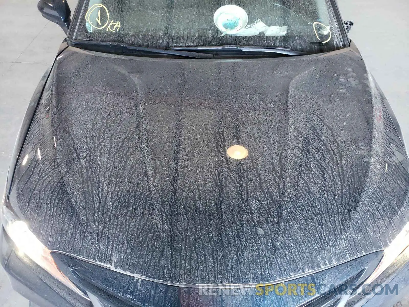 7 Photograph of a damaged car 4T1B11HK7KU837899 TOYOTA CAMRY 2019