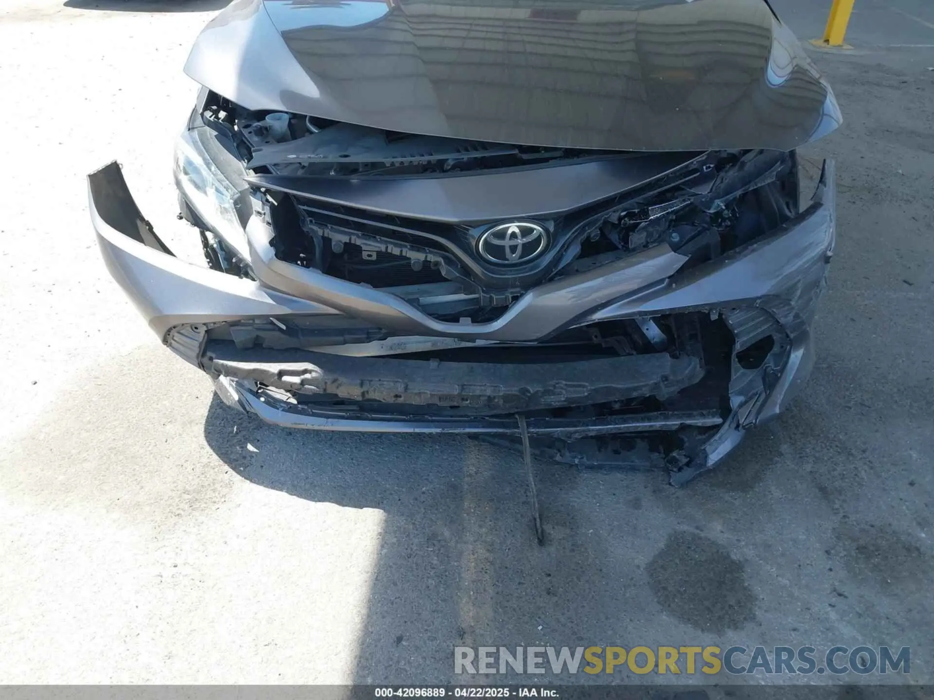 12 Photograph of a damaged car 4T1B11HK8KU204599 TOYOTA CAMRY 2019
