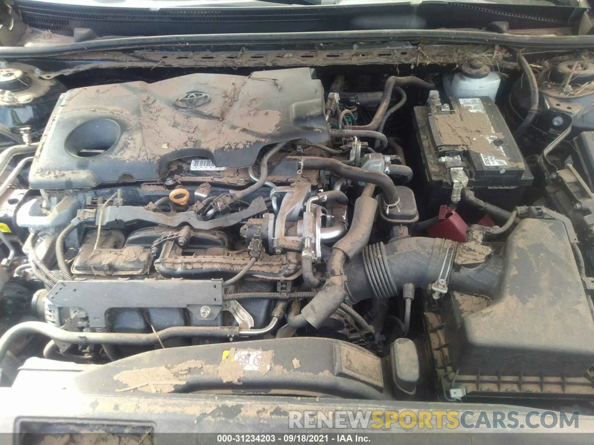 10 Photograph of a damaged car 4T1B11HK8KU217031 TOYOTA CAMRY 2019